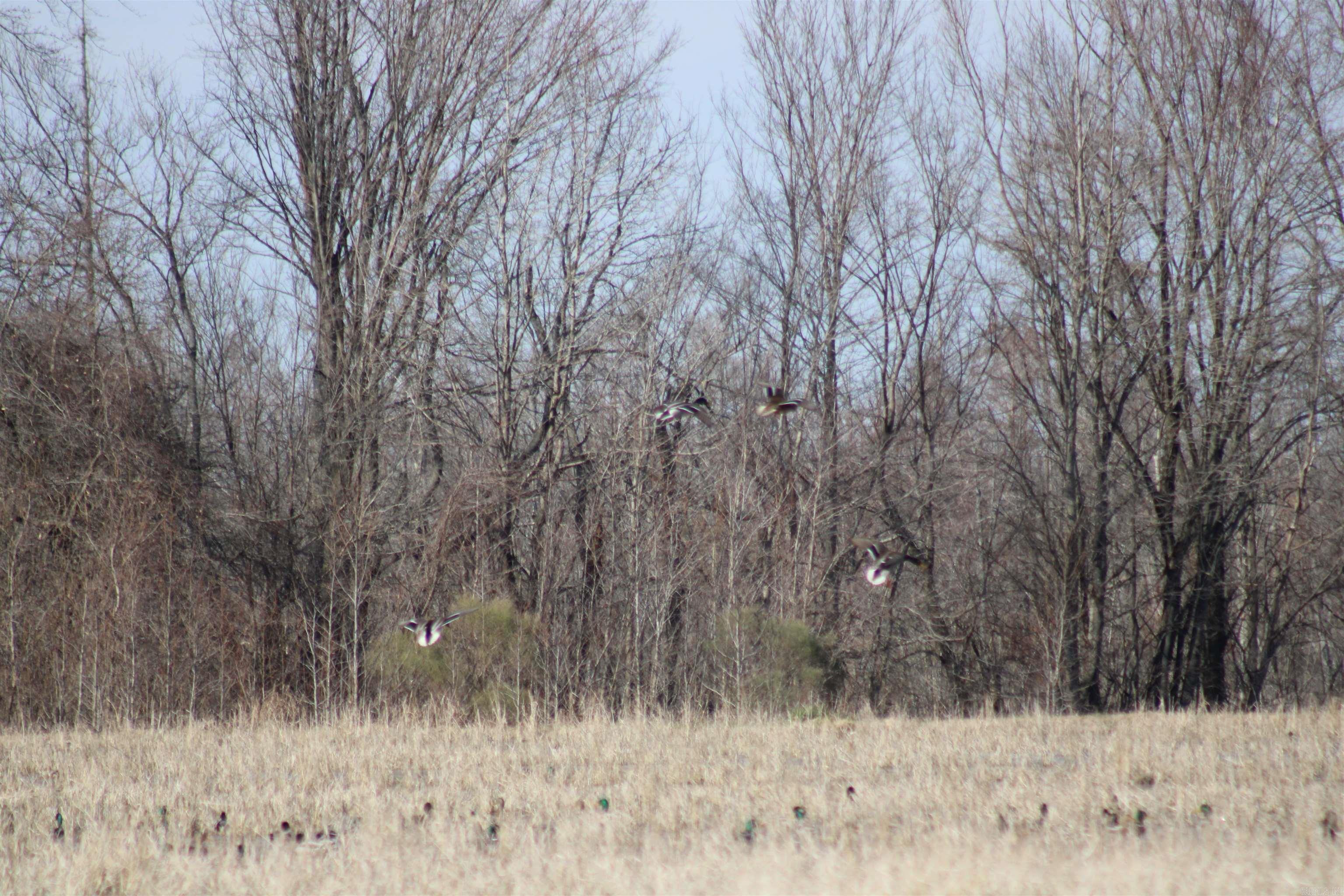 2559 McKoy Ln  Clarendon, AR