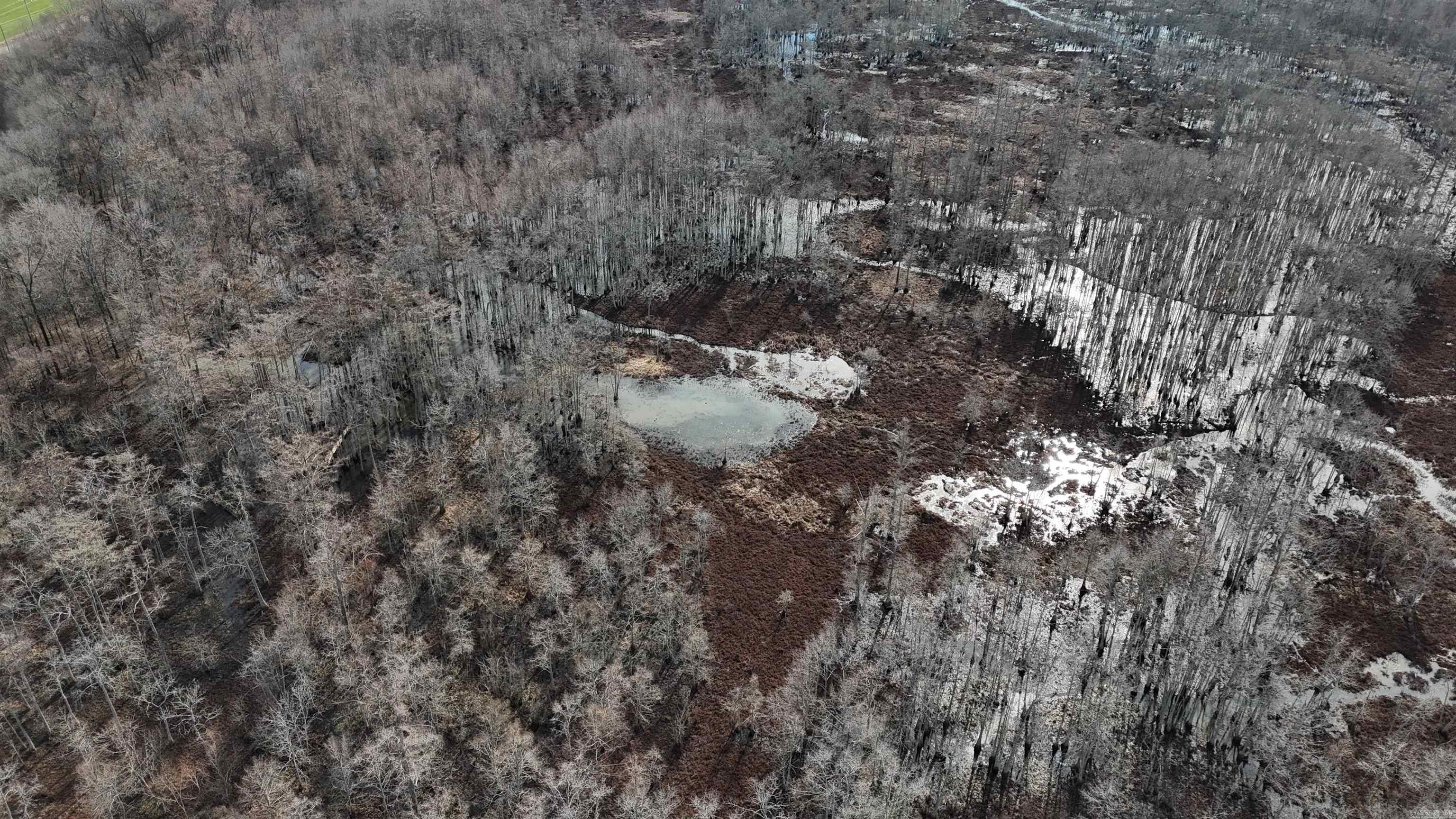 2559 McKoy Ln  Clarendon, AR