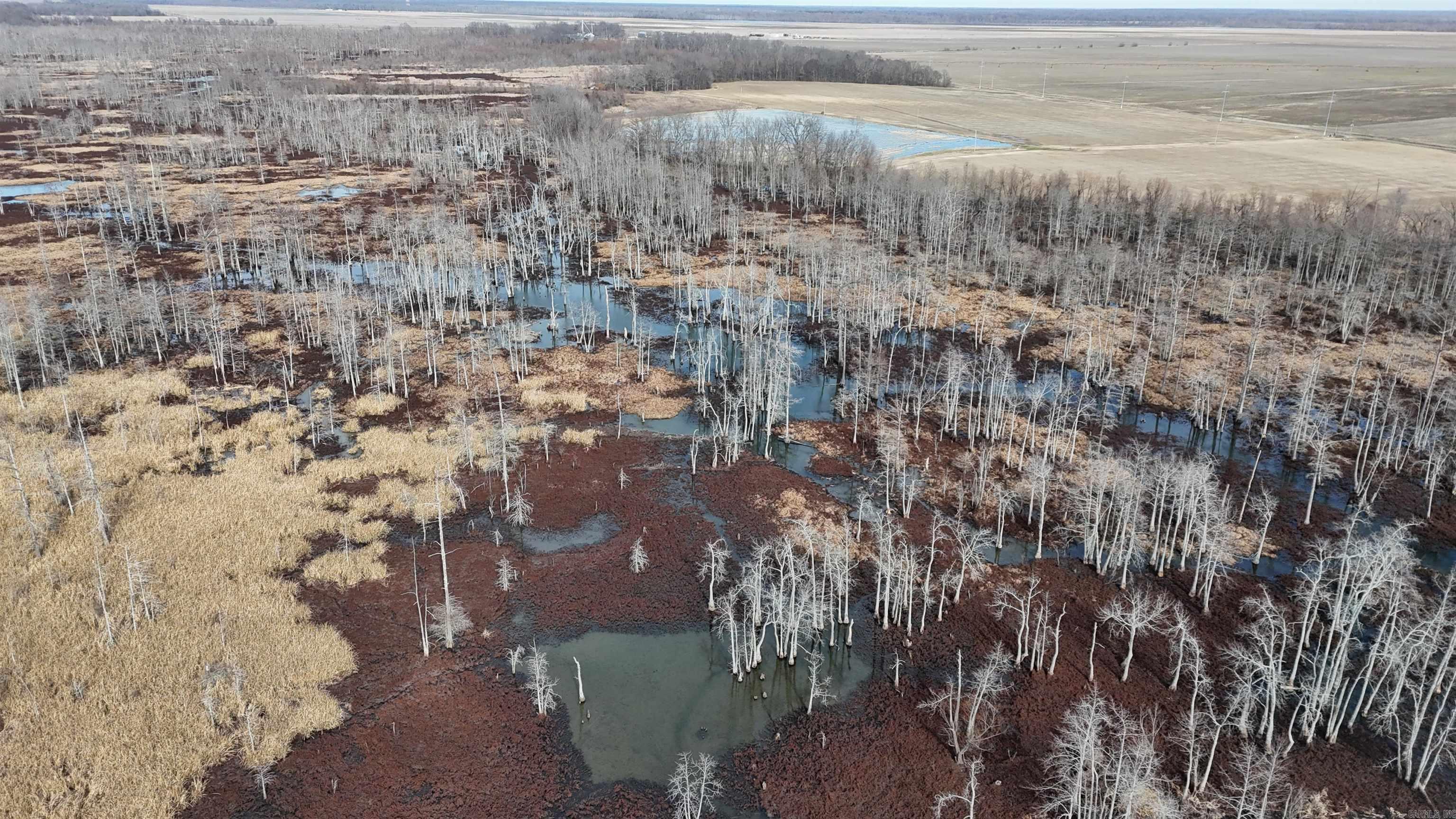 2559 McKoy Ln  Clarendon, AR