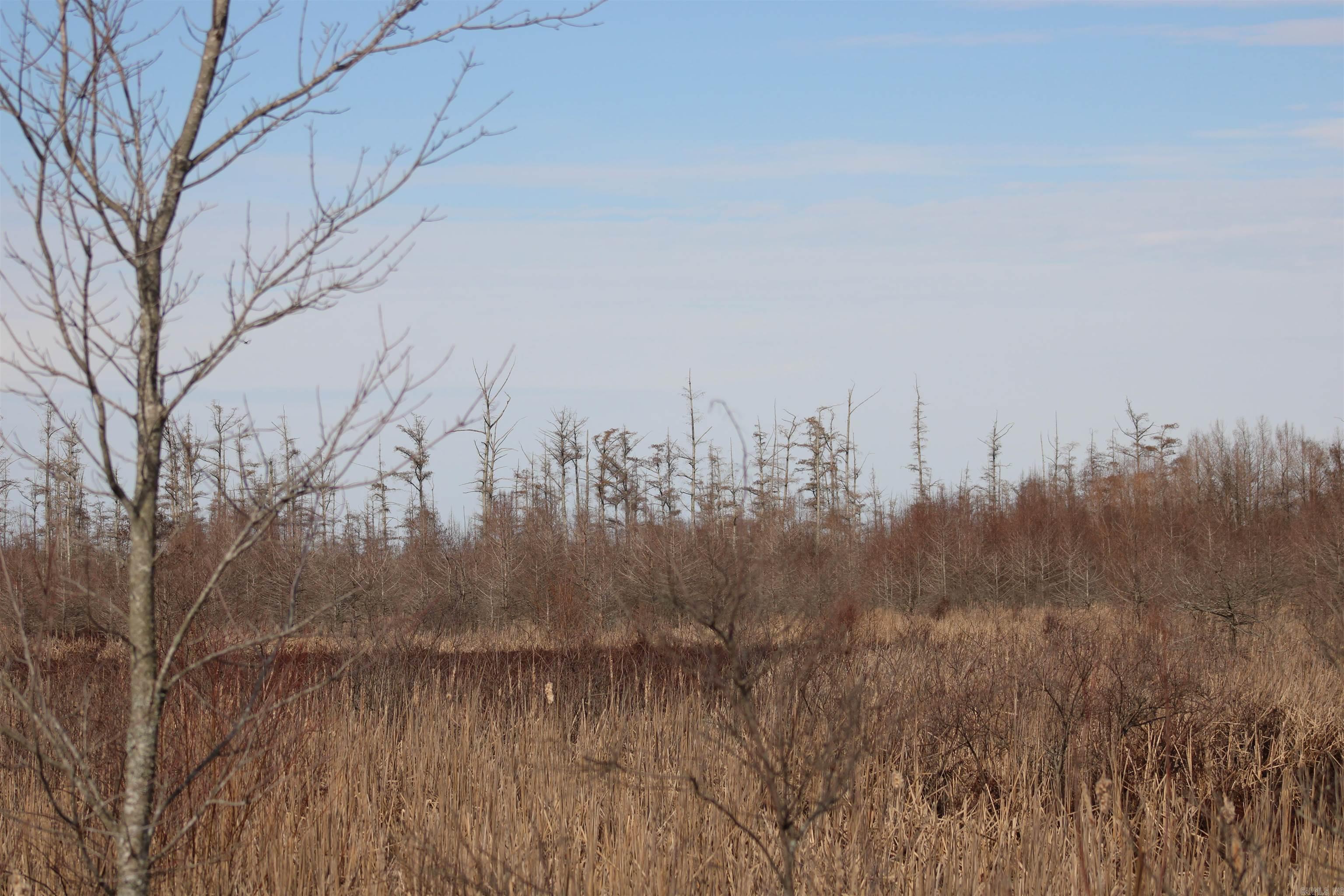 2559 McKoy Ln  Clarendon, AR