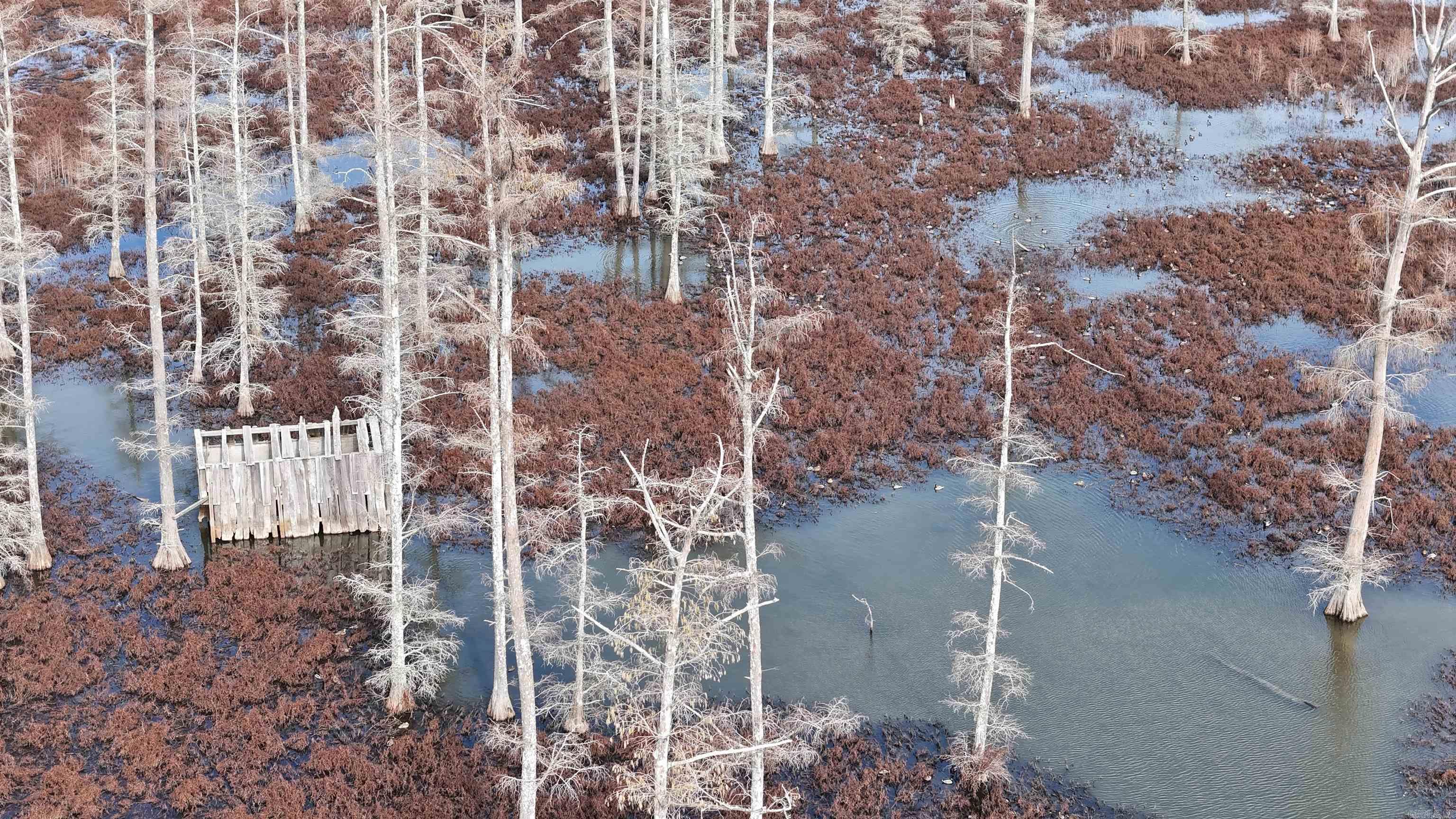 2559 McKoy Ln  Clarendon, AR