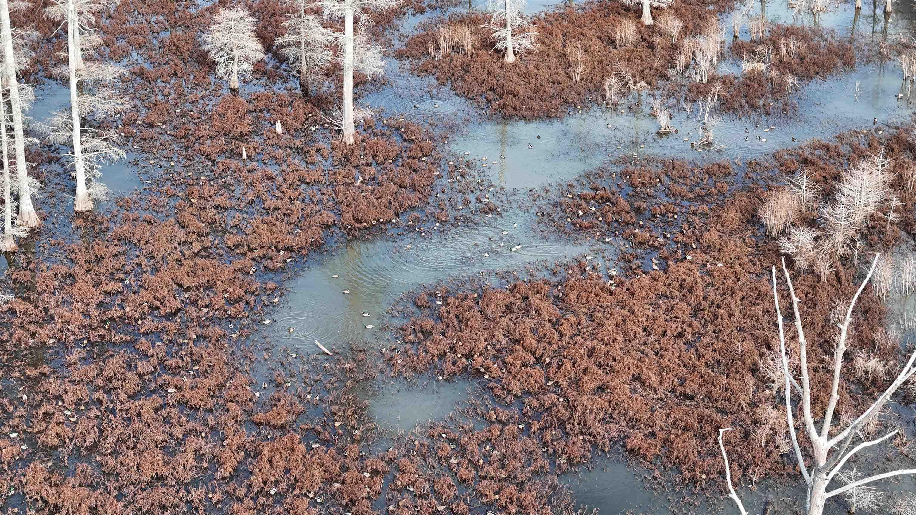 2559 McKoy Ln  Clarendon, AR