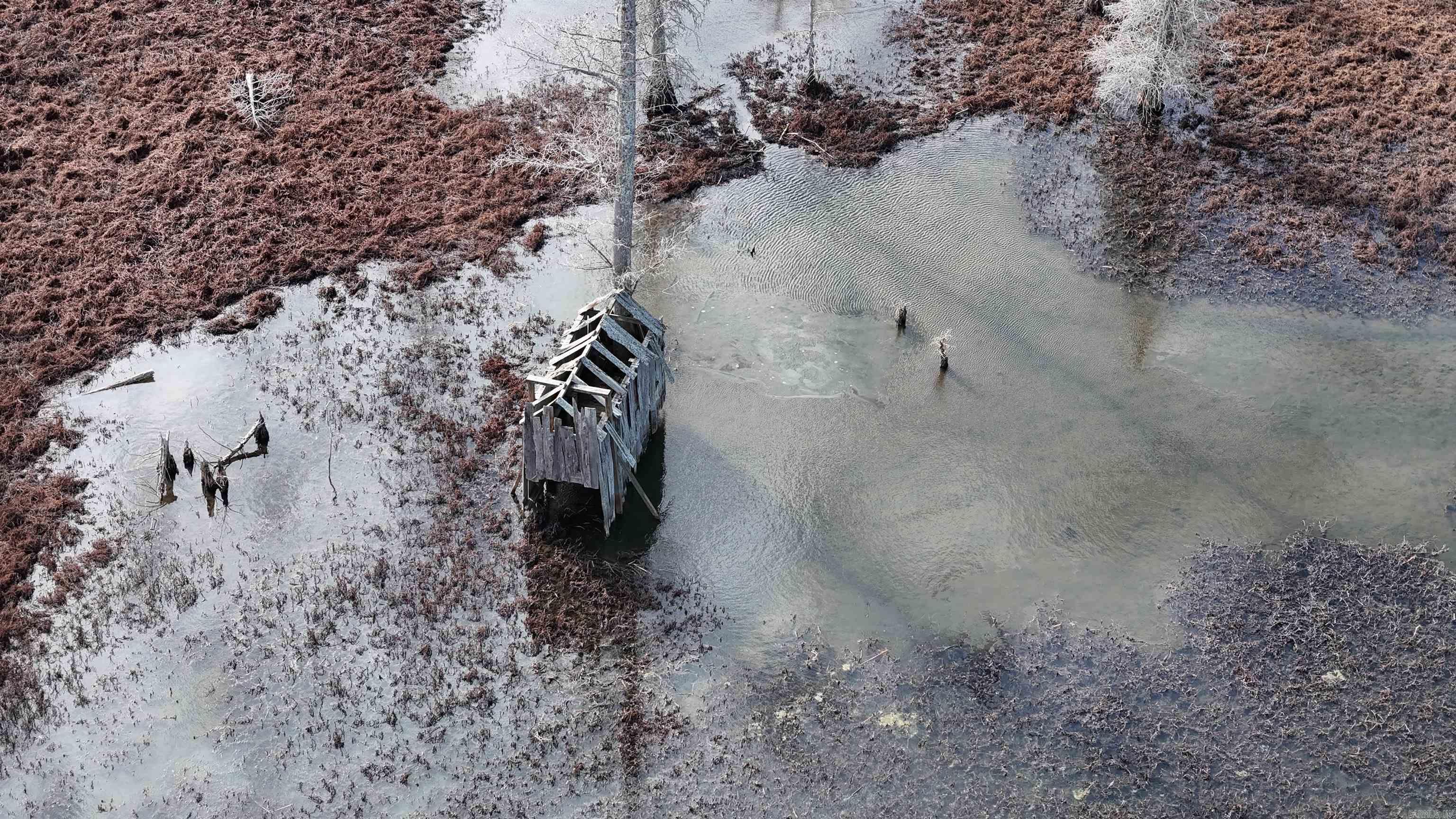 2559 McKoy Ln  Clarendon, AR