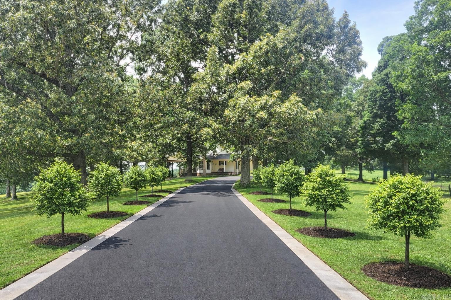 1199 GR 607 RD Beech Grove, AR 72412