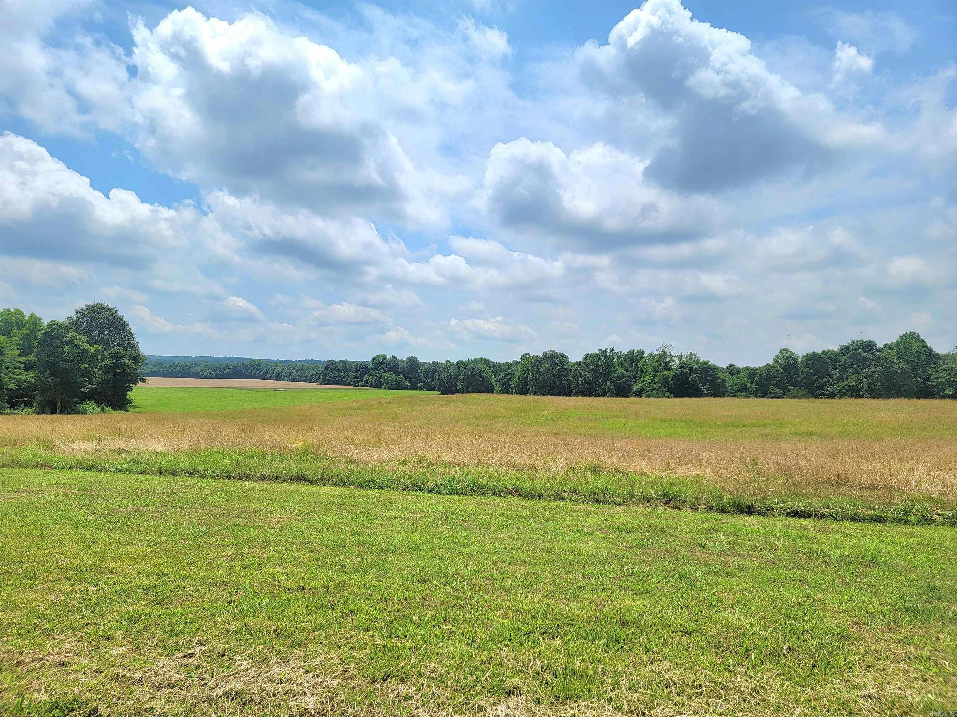 1199 GR 607 RD Beech Grove, AR 72412