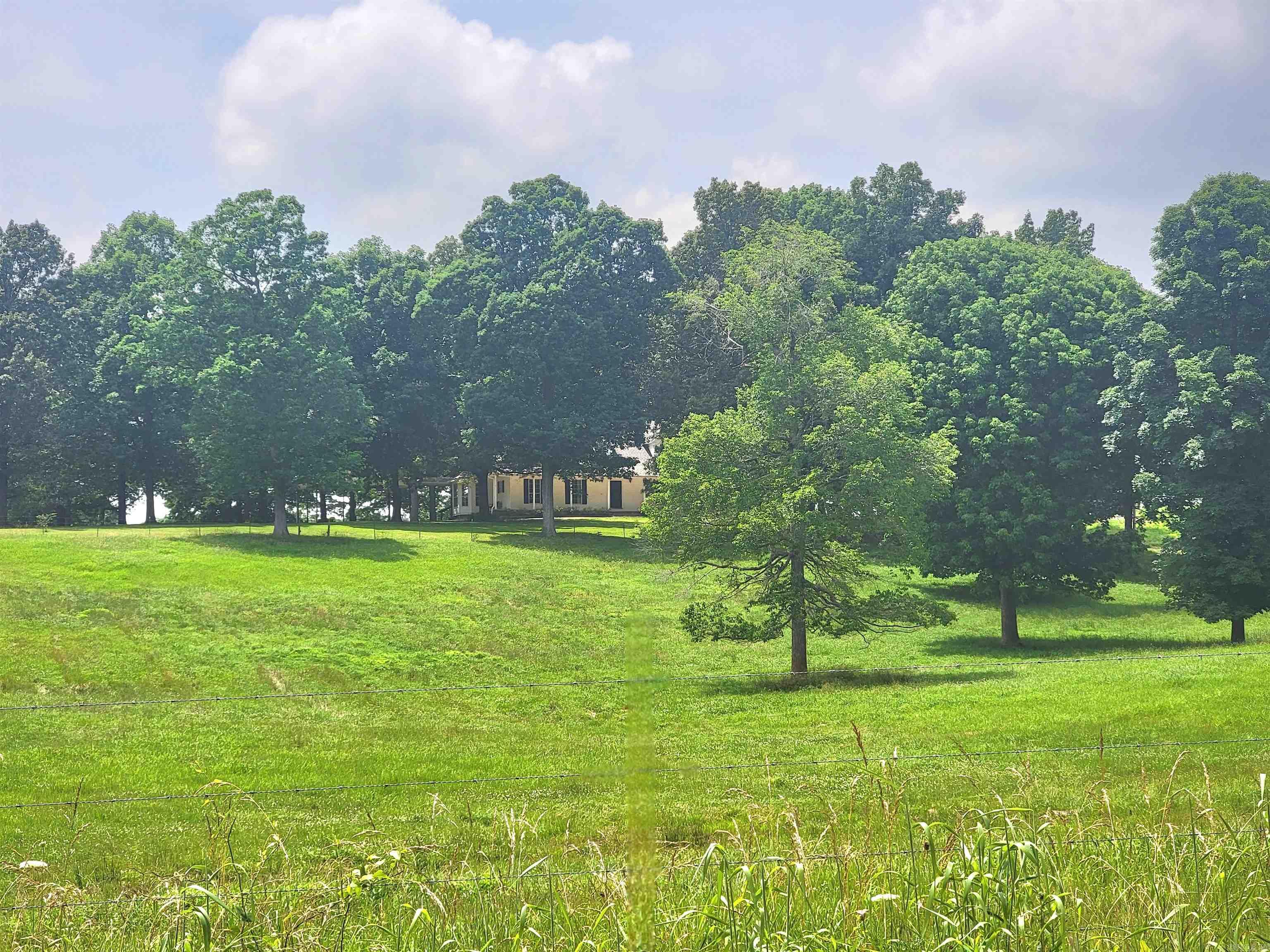 1199 GR 607 RD Beech Grove, AR 72412