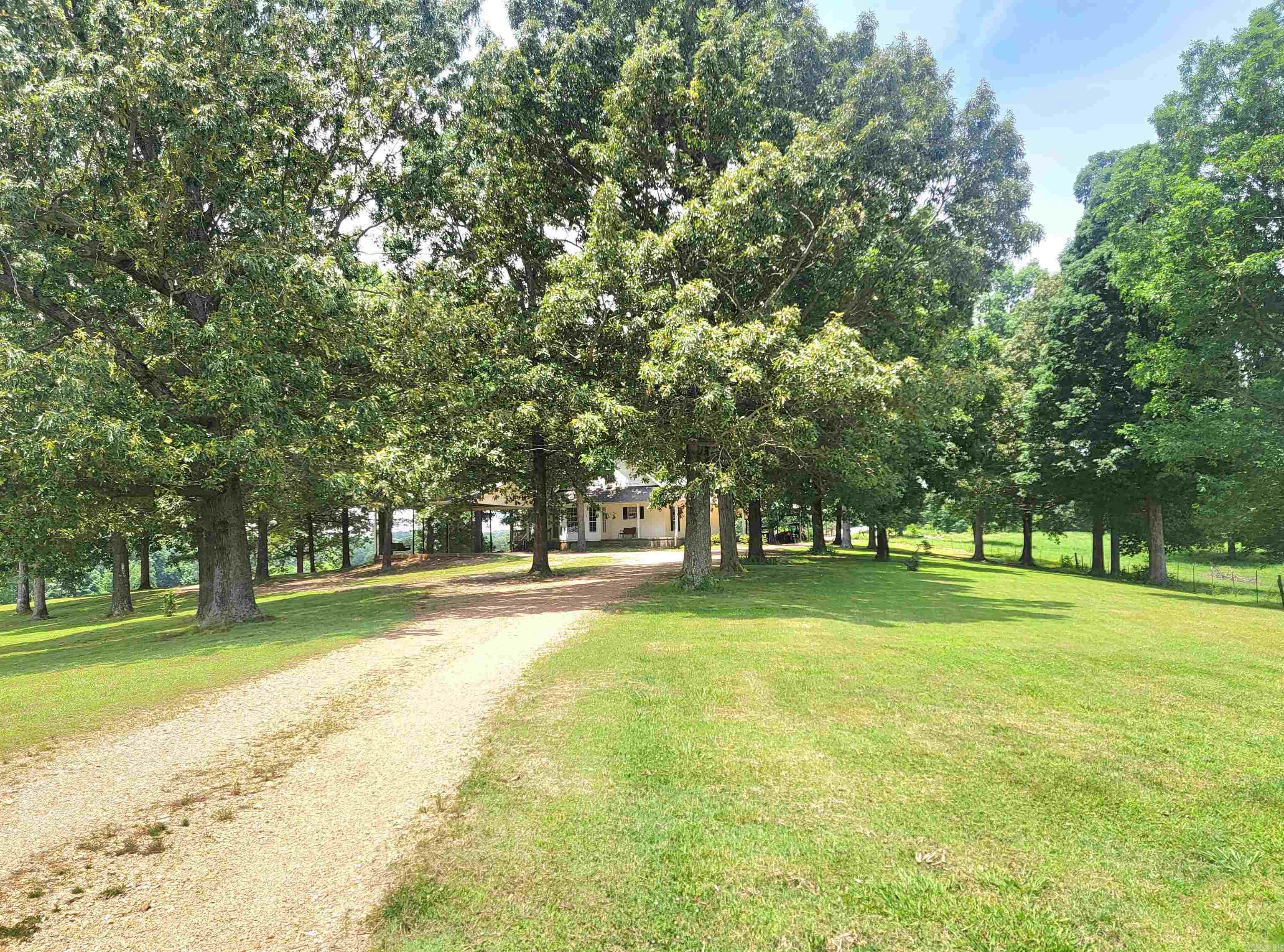 1199 GR 607 RD Beech Grove, AR 72412