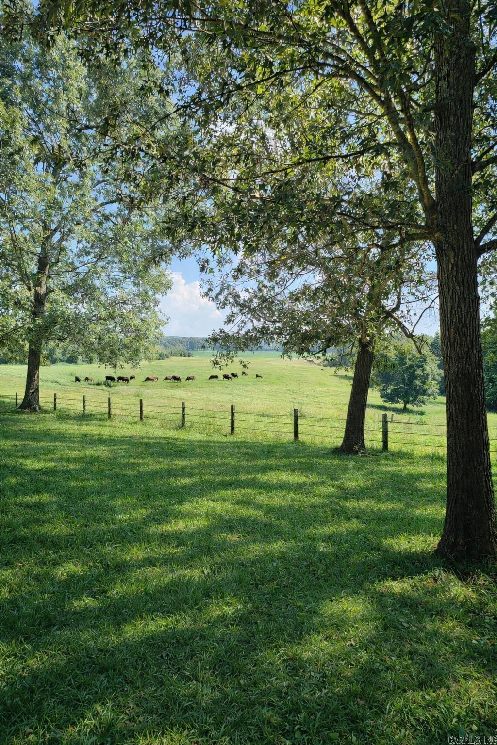 1199 GR 607 RD Beech Grove, AR 72412