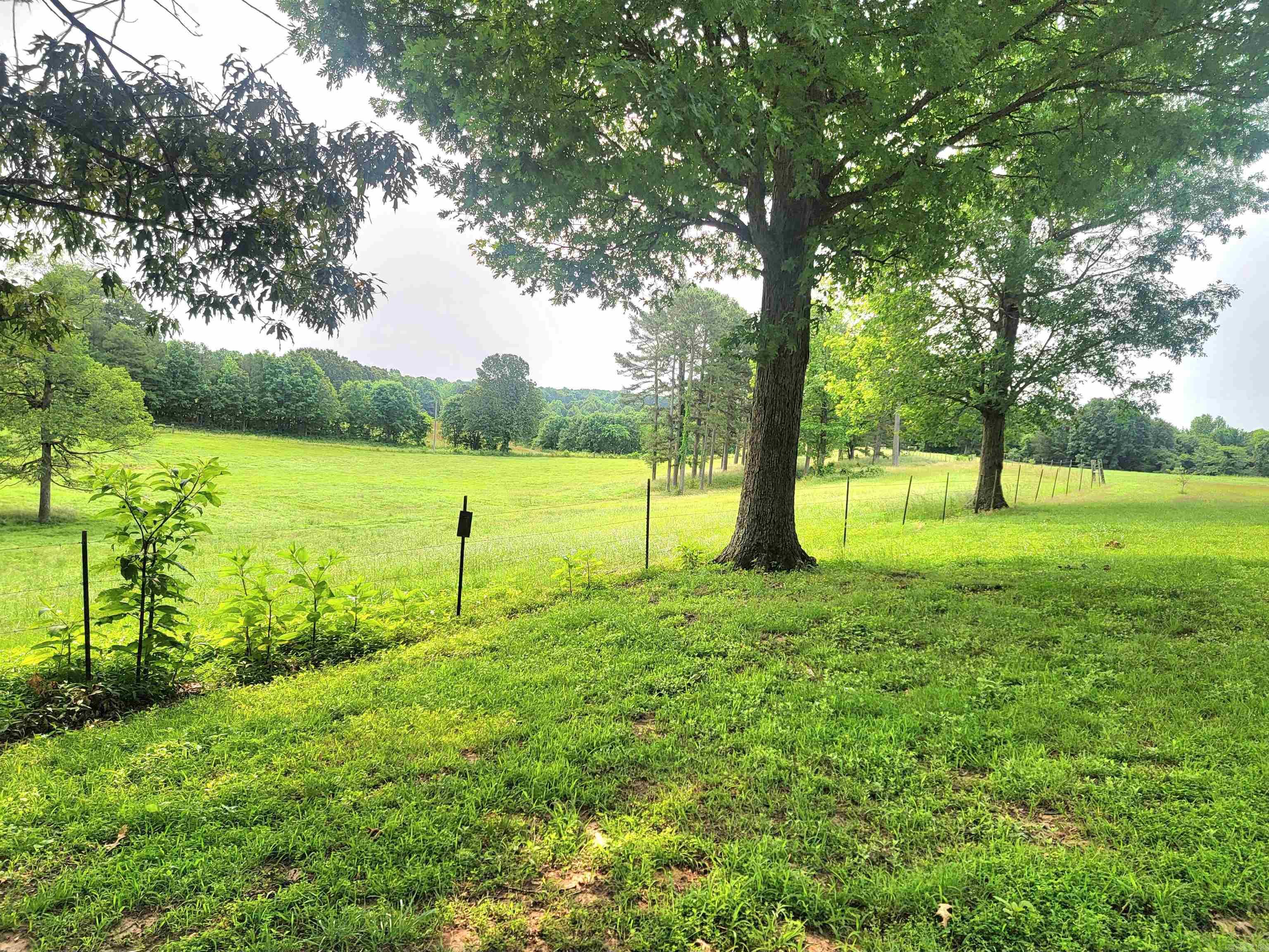 1199 GR 607 RD Beech Grove, AR 72412