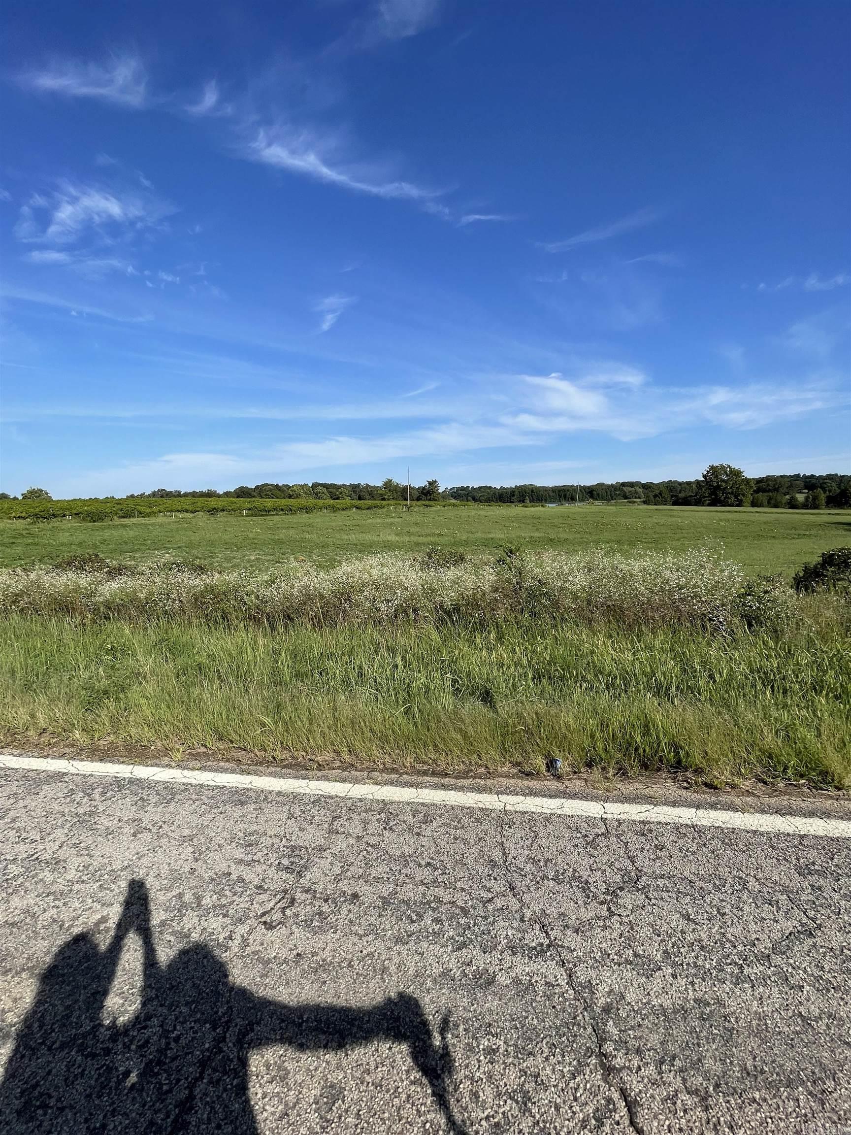 TBD East Vineyard Drive  Wiederkehr Village, AR