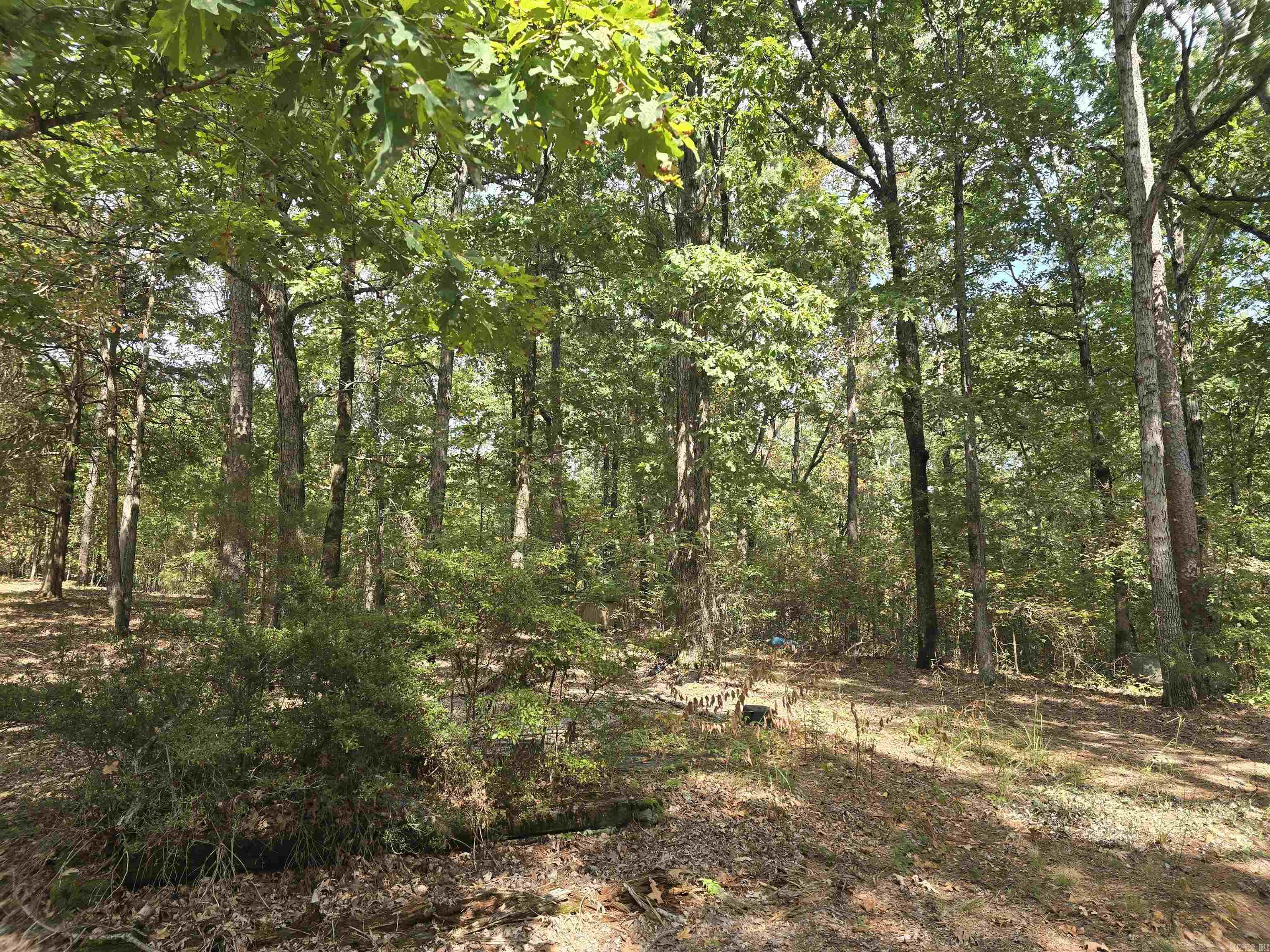 357 CR 790  Brookland, AR