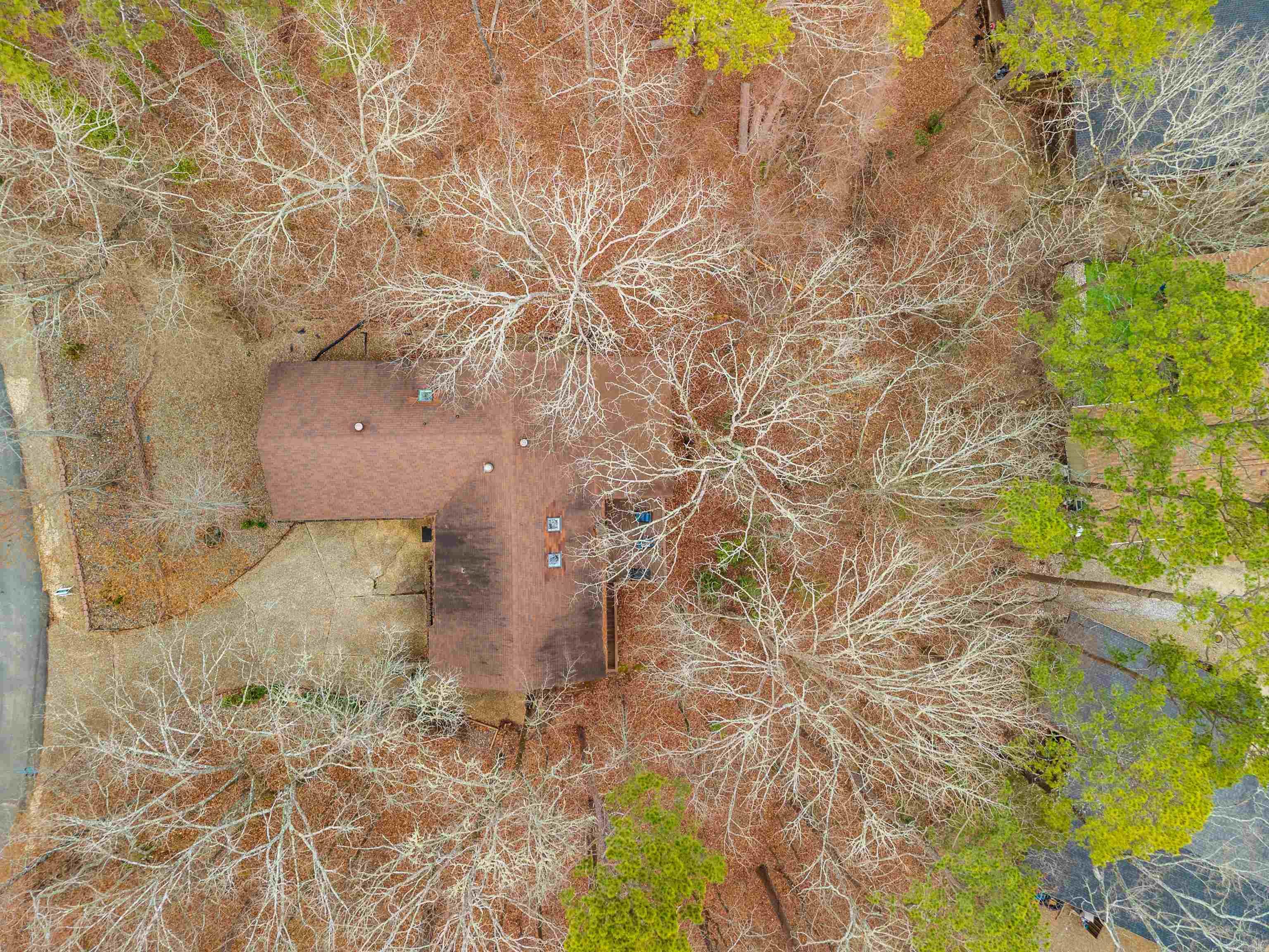 38 Pego  Hot Springs Village, AR