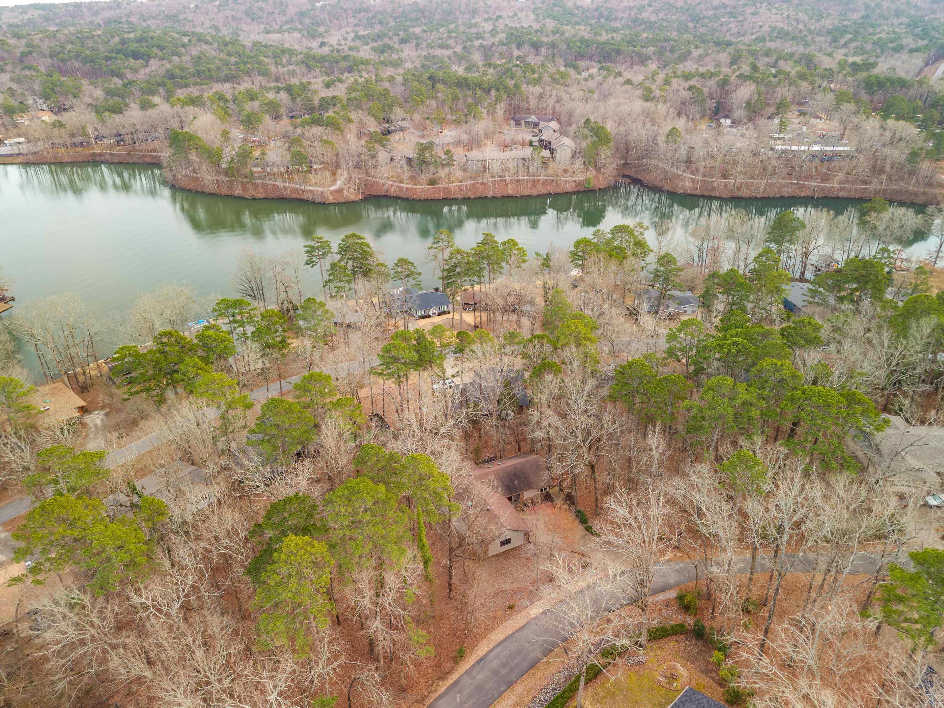 38 Pego  Hot Springs Village, AR