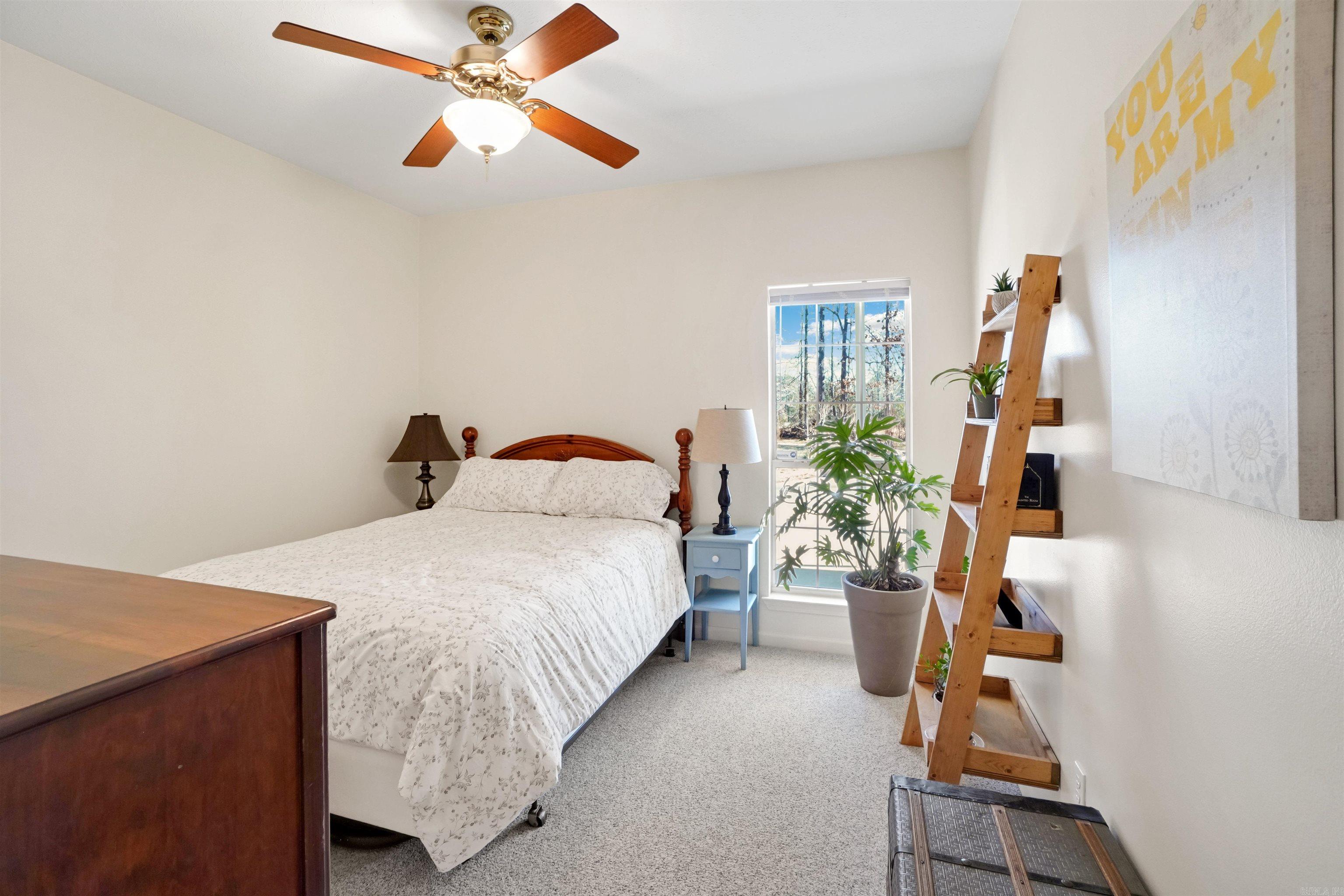 14 Summerland Court Conway, AR 72032