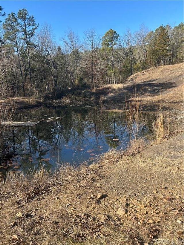 15486 Slo Fork Road Dardanelle, AR 72834