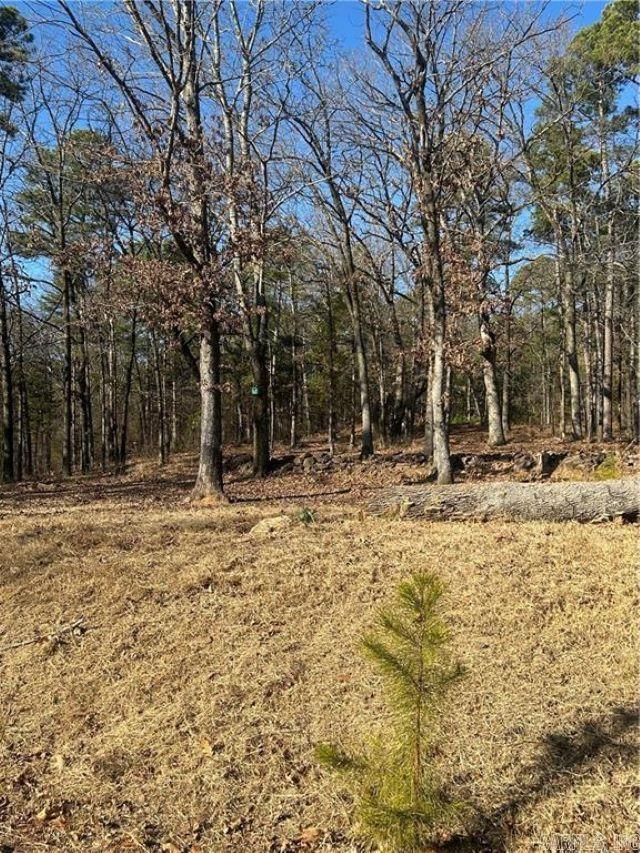 15486 Slo Fork Road Dardanelle, AR 72834