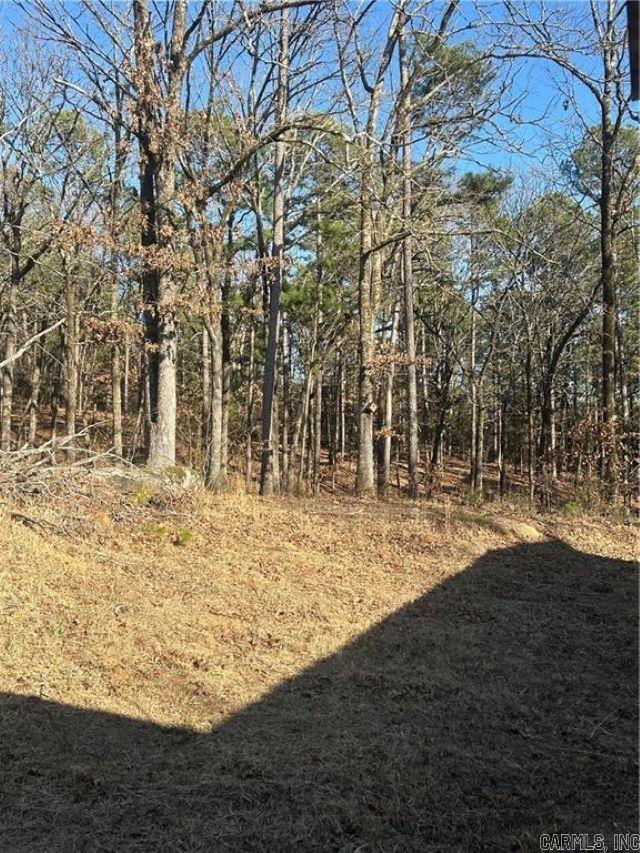 15486 Slo Fork Road Dardanelle, AR 72834