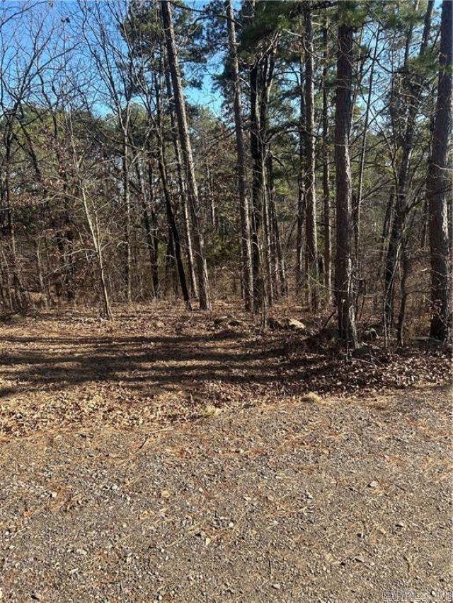15486 Slo Fork Road Dardanelle, AR 72834