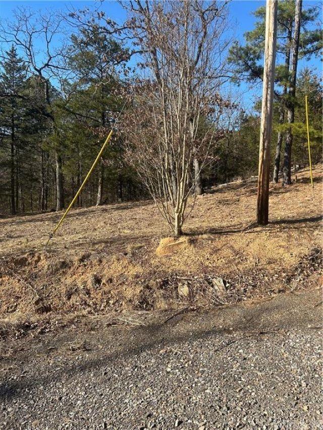 15486 Slo Fork Road Dardanelle, AR 72834