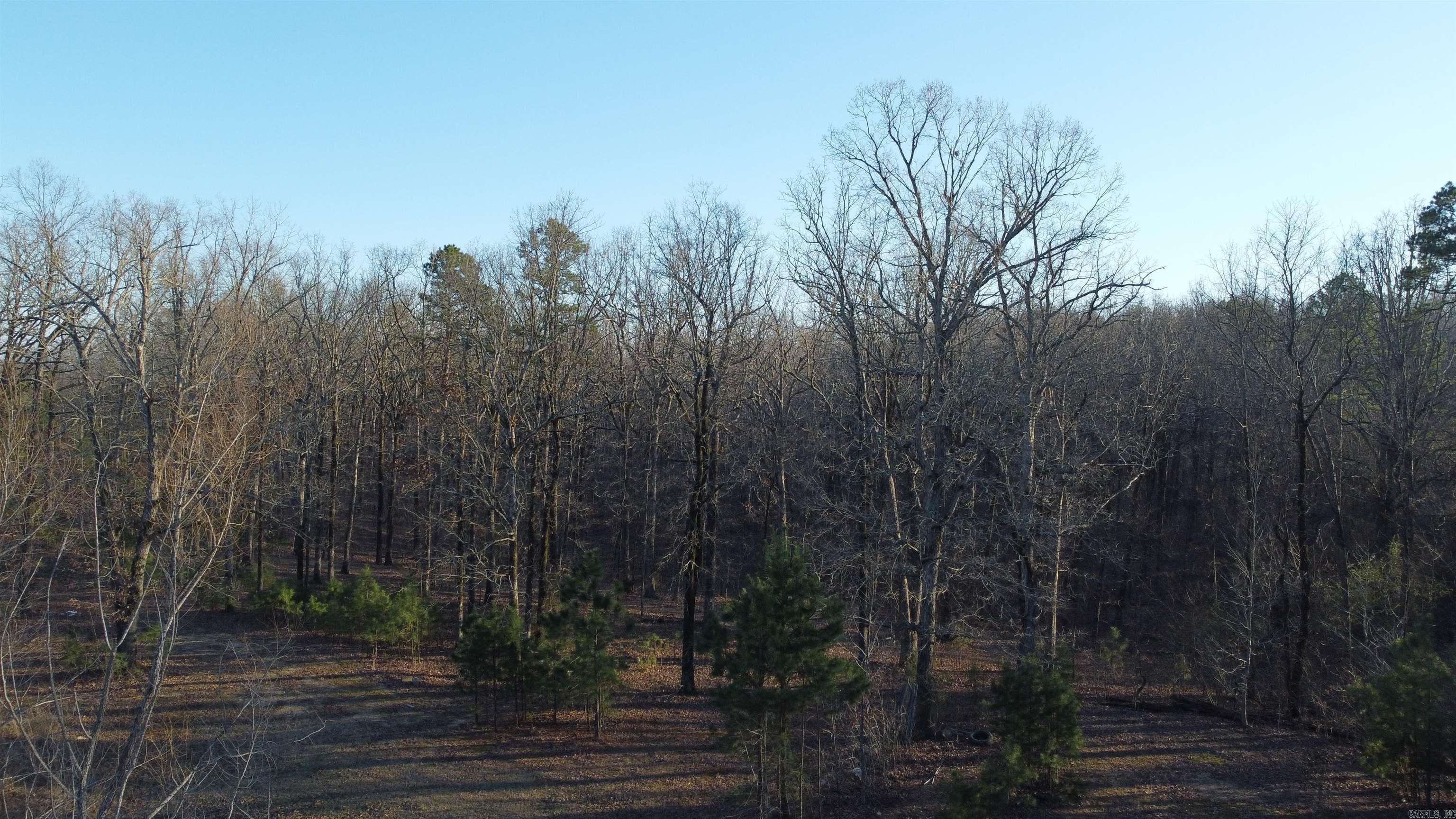 200 County Road 772 Jonesboro, AR 74205-9999