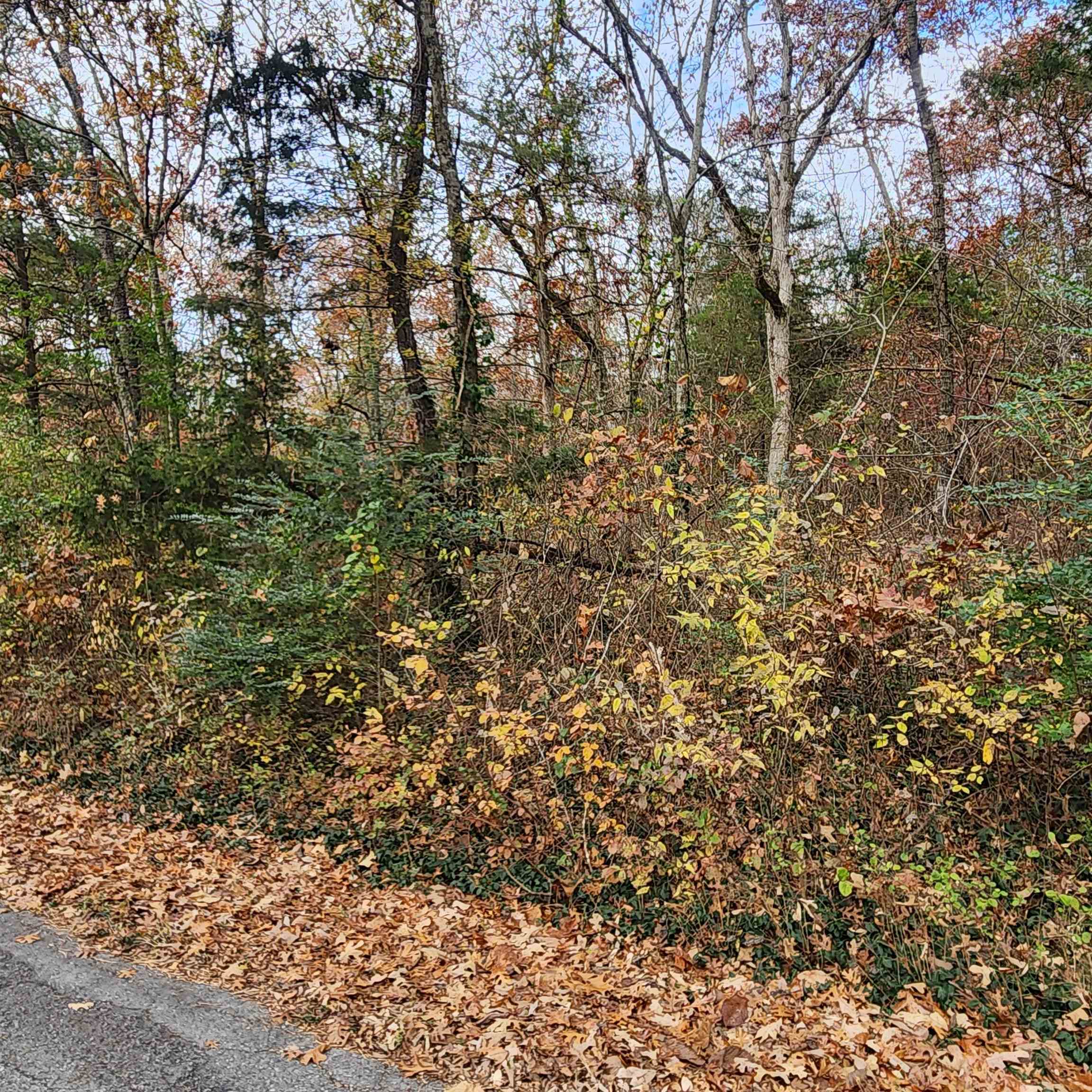 L-17, B-2 W Lakeshore  Cherokee Village, AR