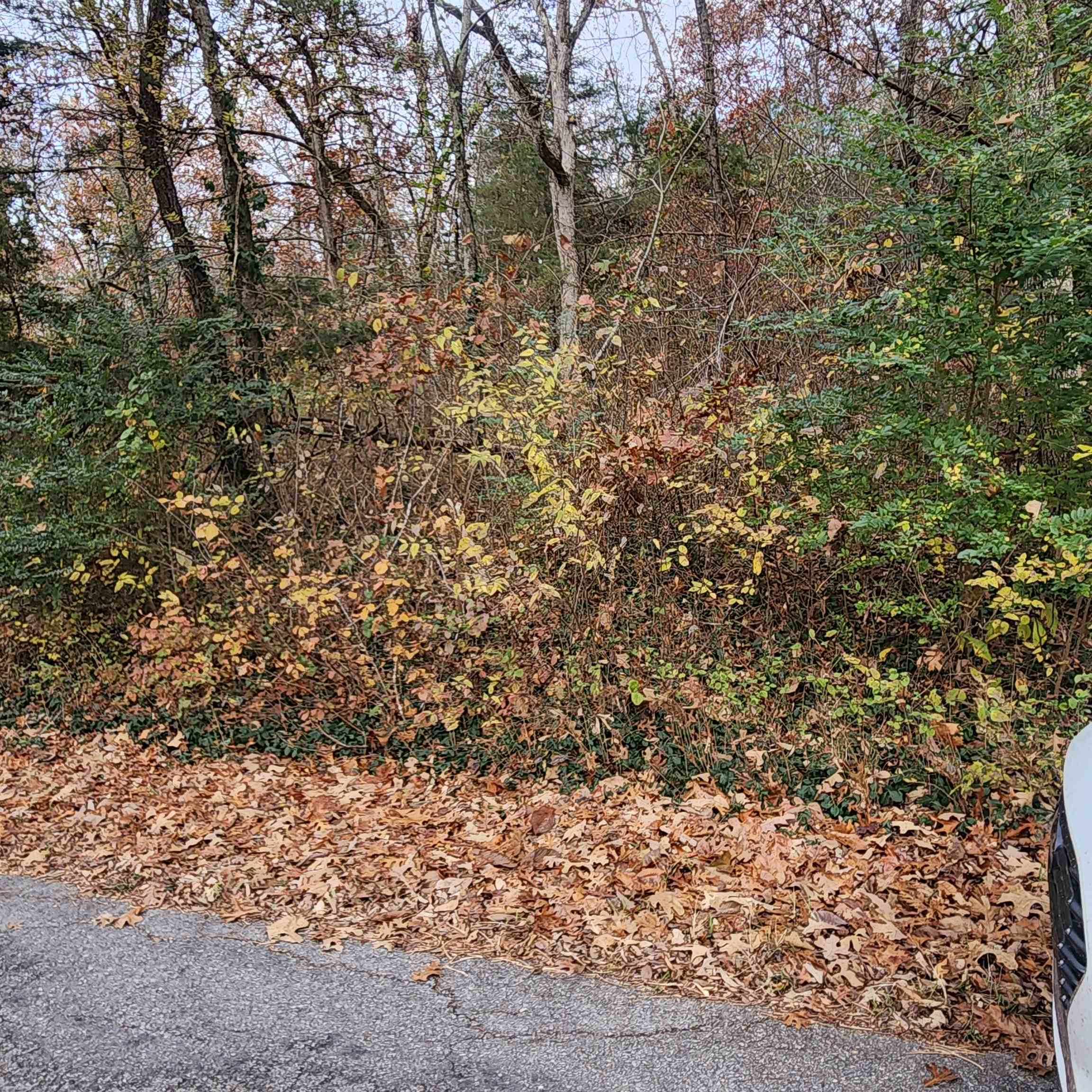 L-17, B-2 W Lakeshore  Cherokee Village, AR