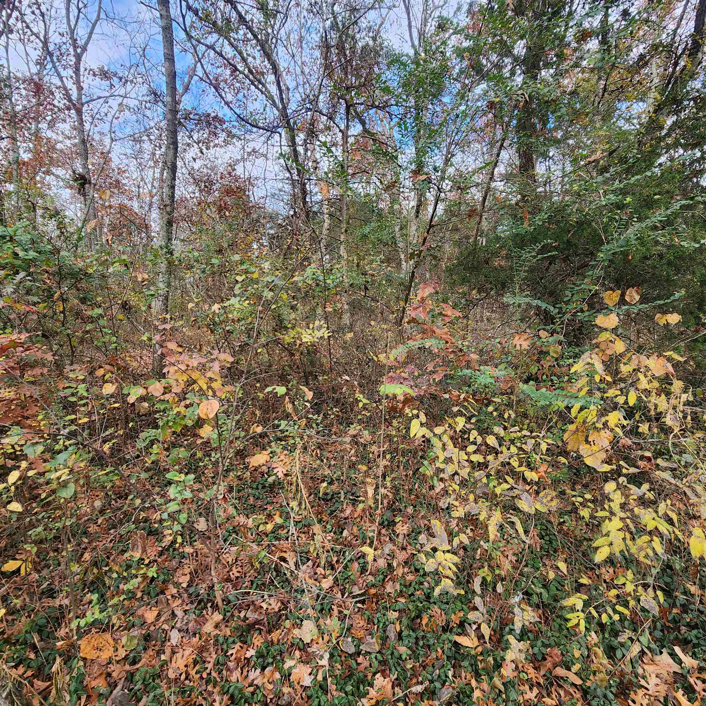 L-17, B-2 W Lakeshore  Cherokee Village, AR