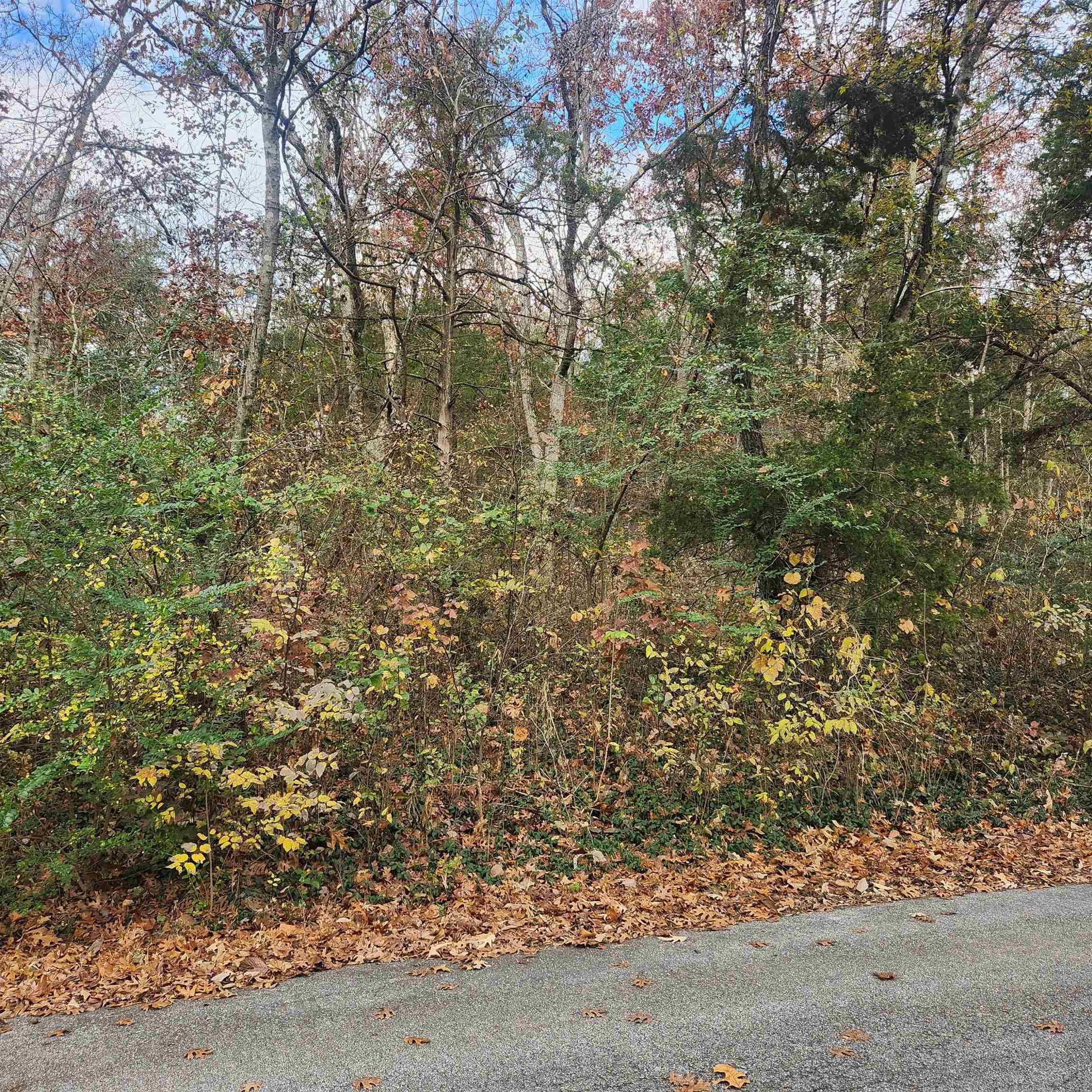 L-17, B-2 W Lakeshore  Cherokee Village, AR