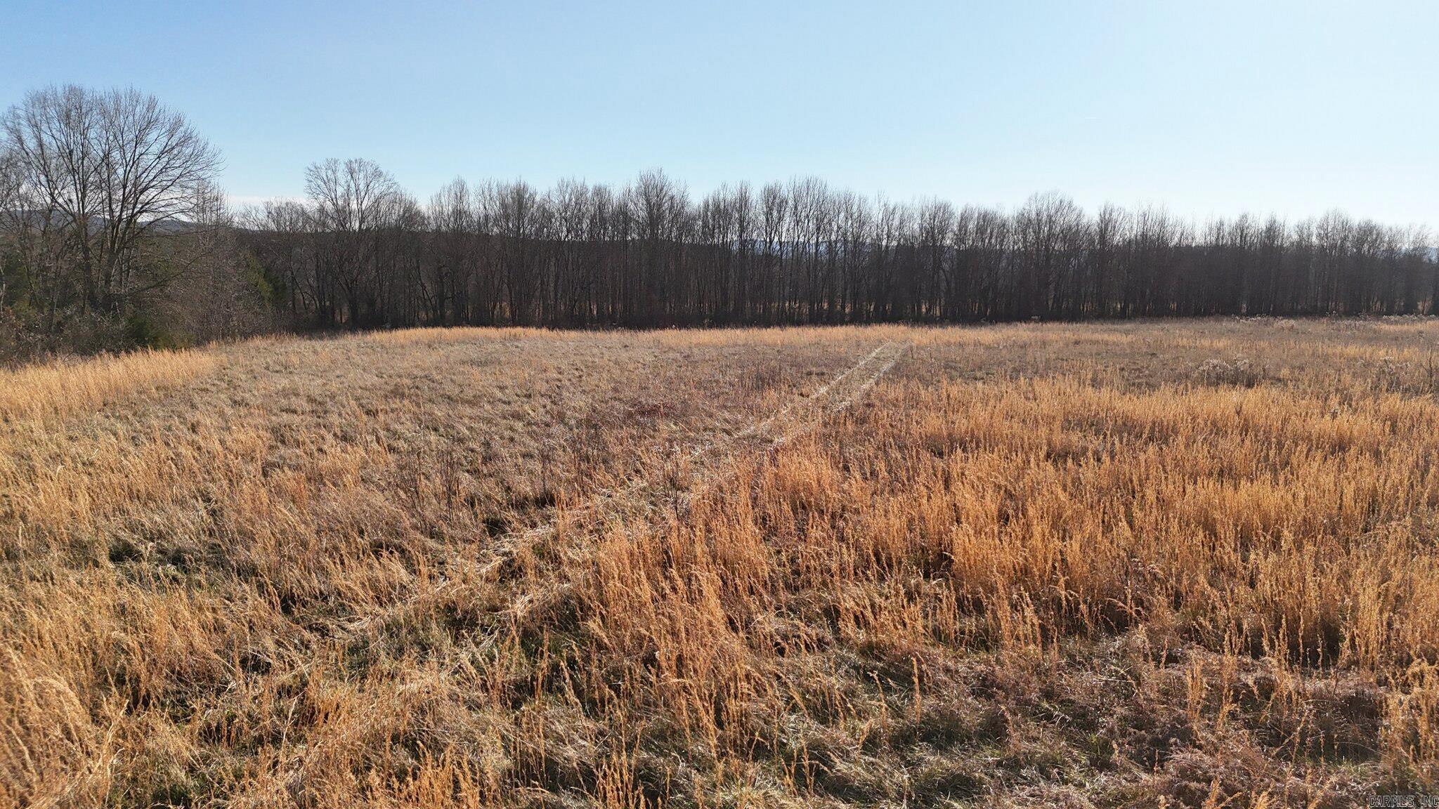 TBD Eastwood Road  Parks, AR