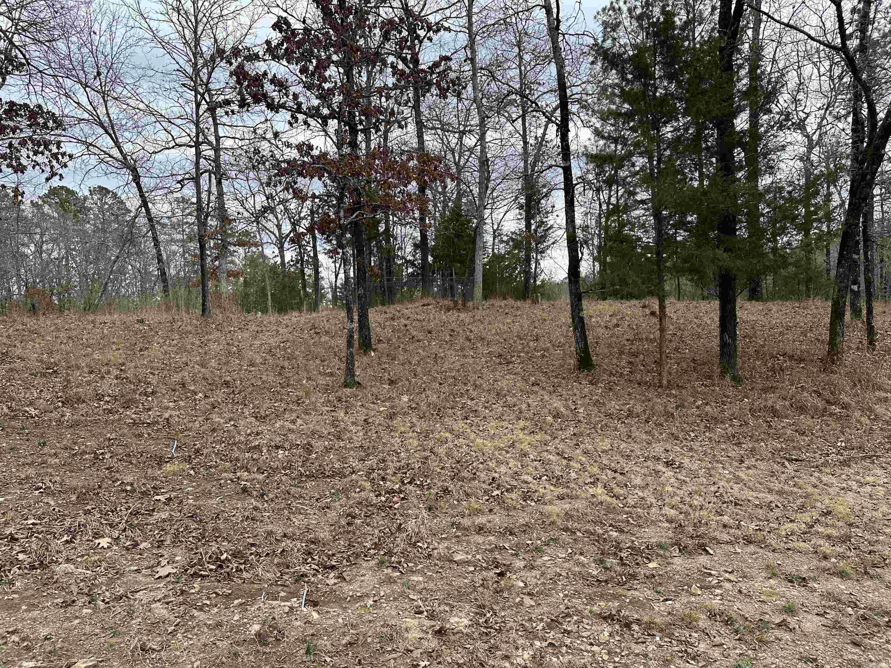 600 Timberlake  Royal, AR