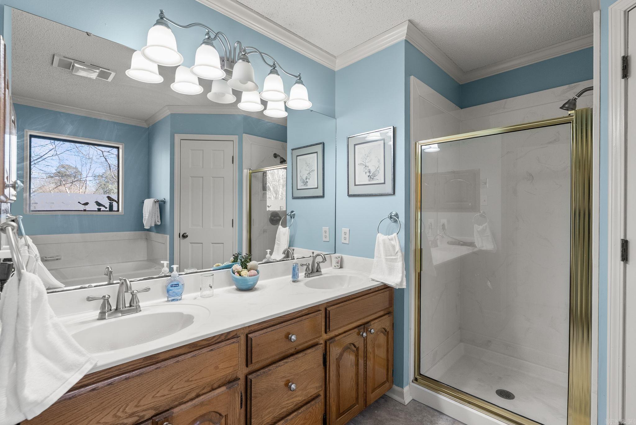 9 Yazoo Circle Maumelle, AR 72113