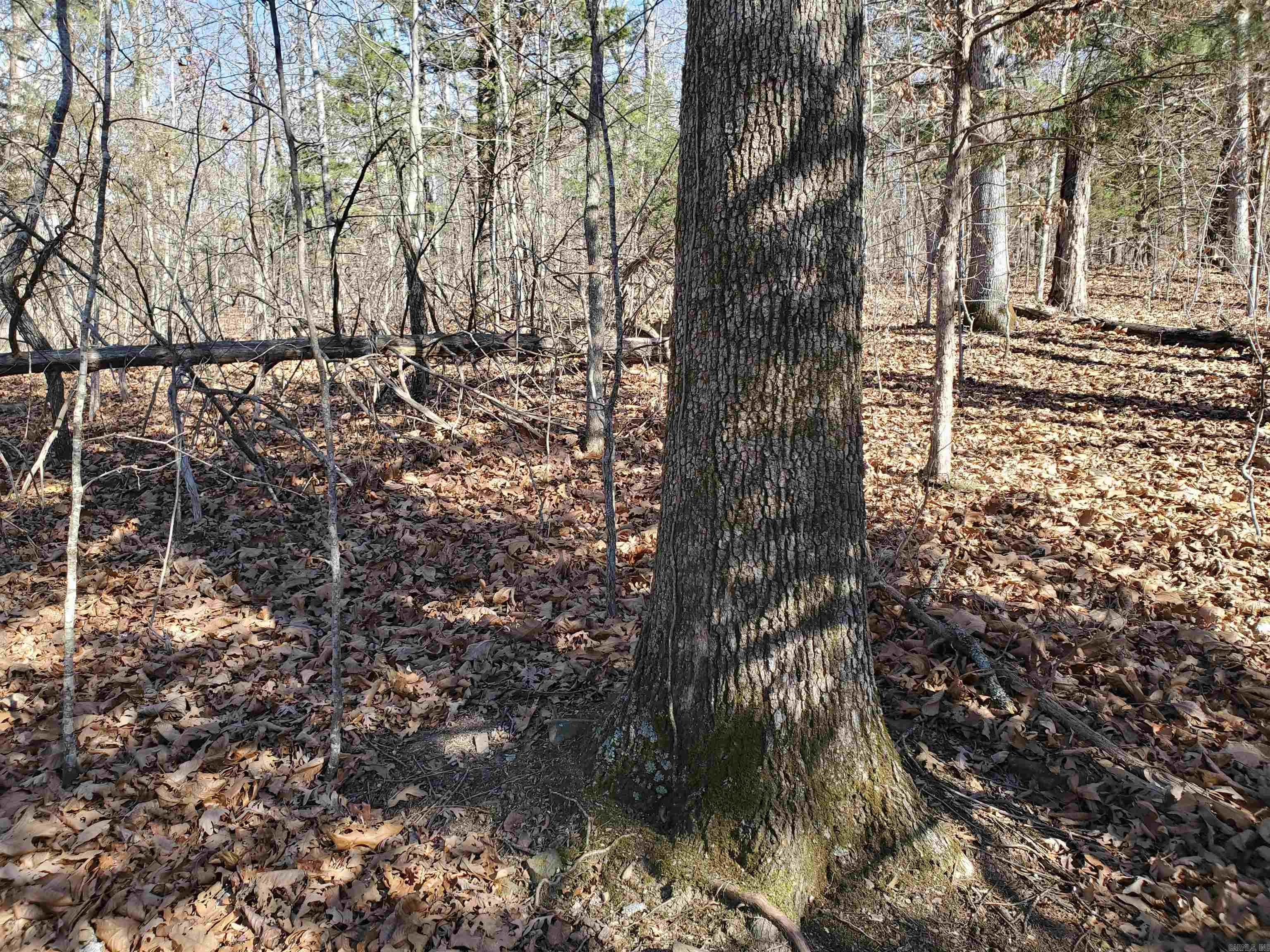 15776 Hwy 74 E Tract #1 Marshall, AR 72650-9999