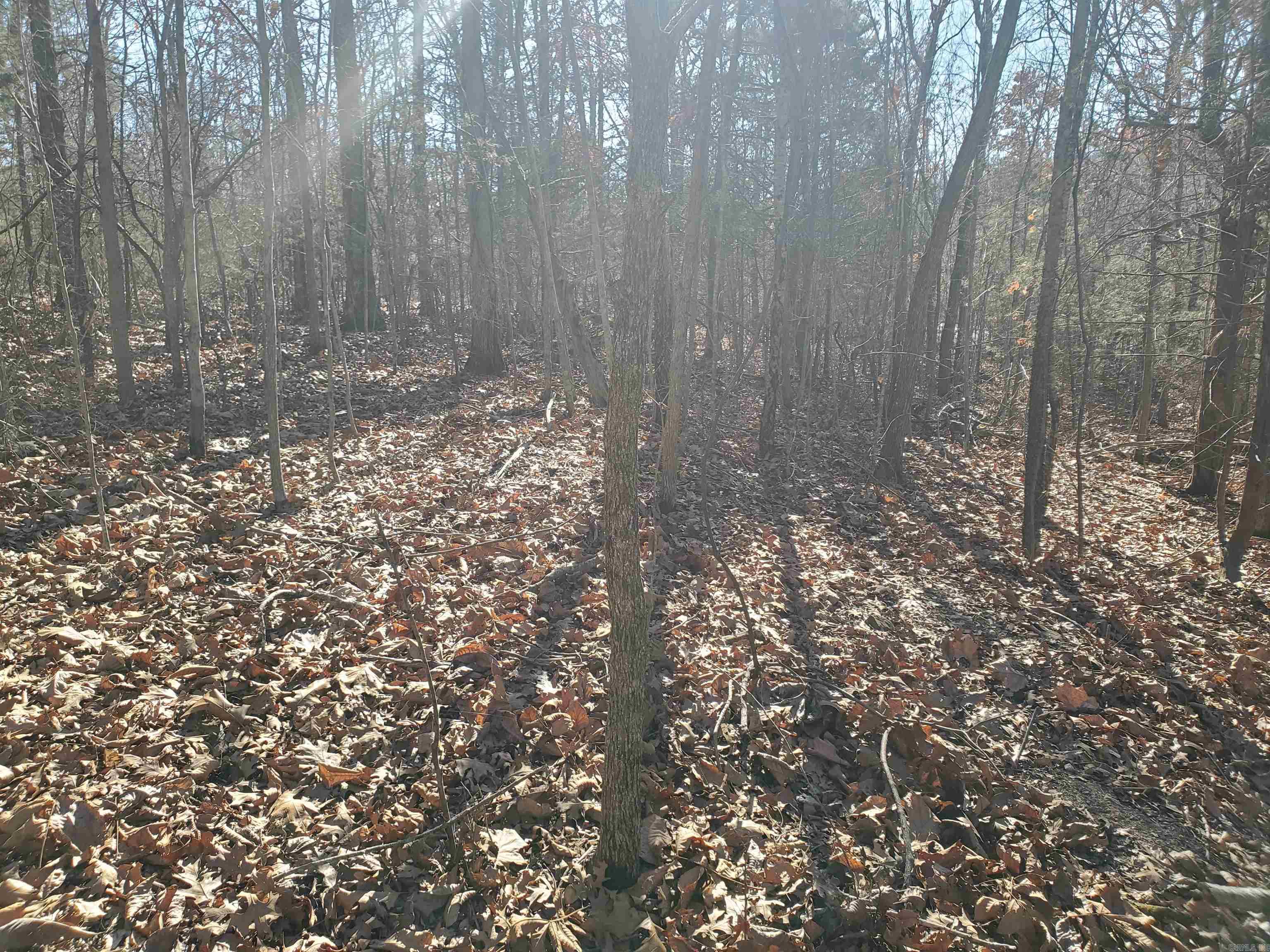 15776 Hwy 74 E Tract #1 Marshall, AR 72650-9999