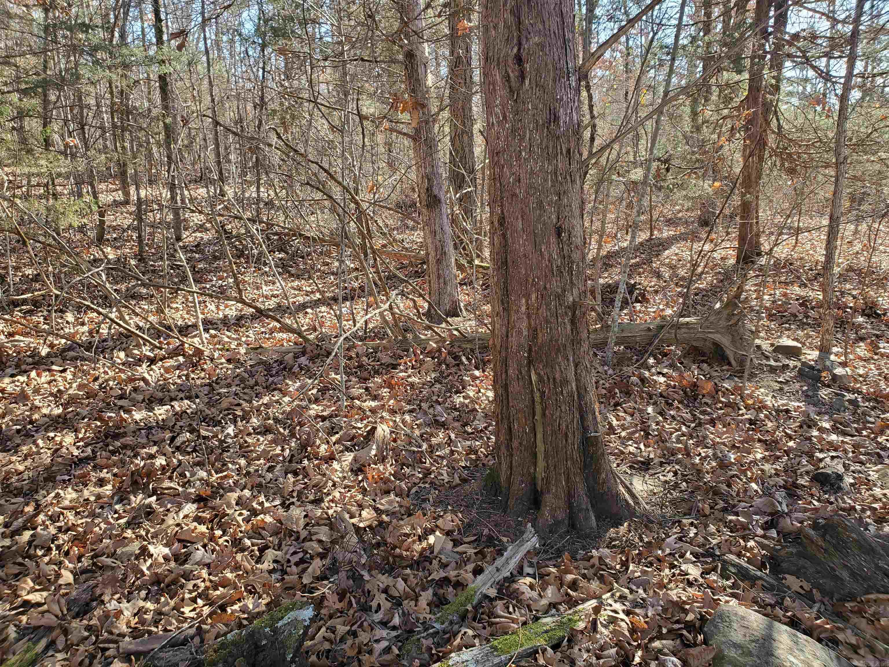 15776 Hwy 74 E Tract #1 Marshall, AR 72650-9999