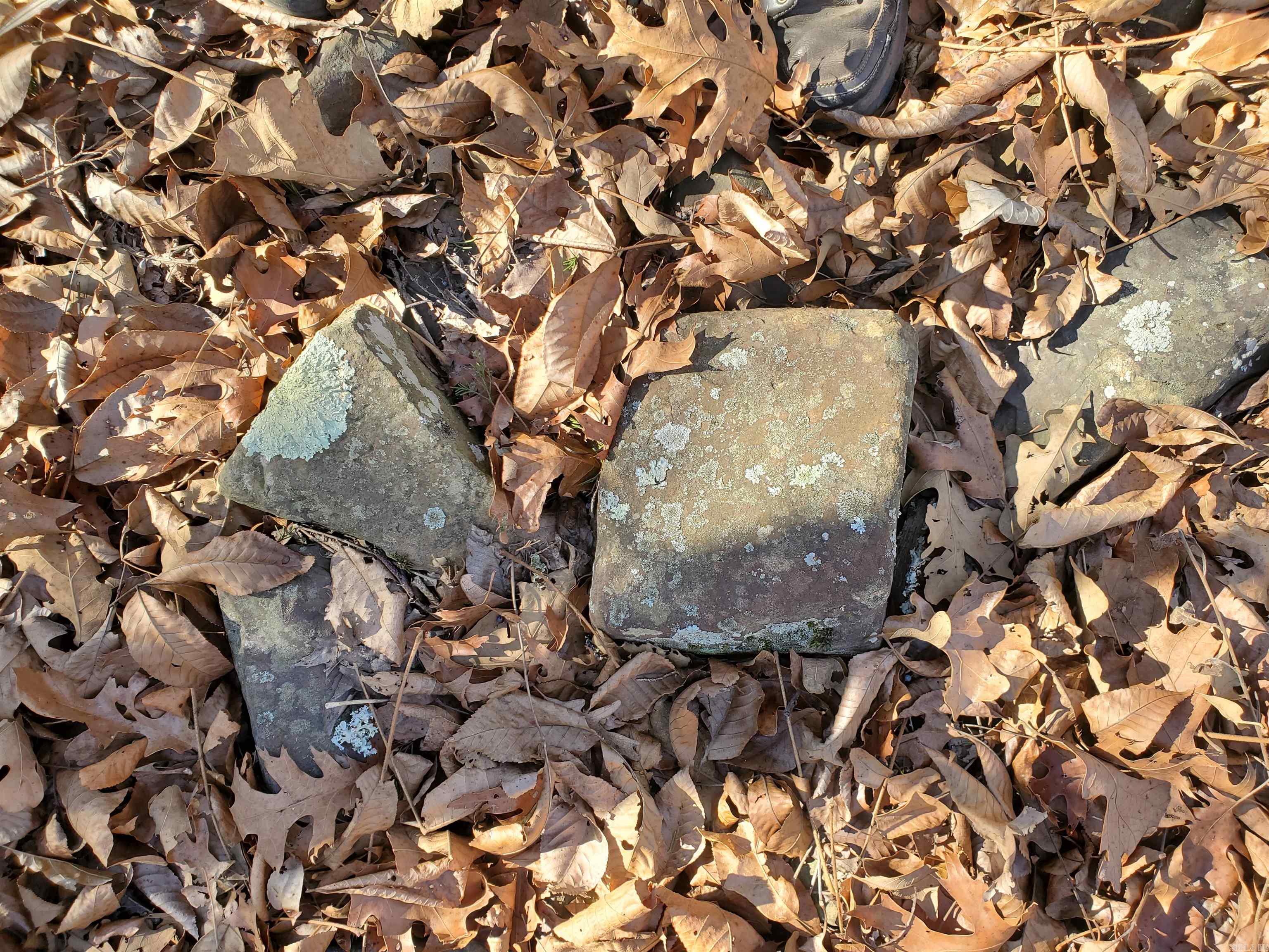 15776 Hwy 74 E Tract #1 Marshall, AR 72650-9999