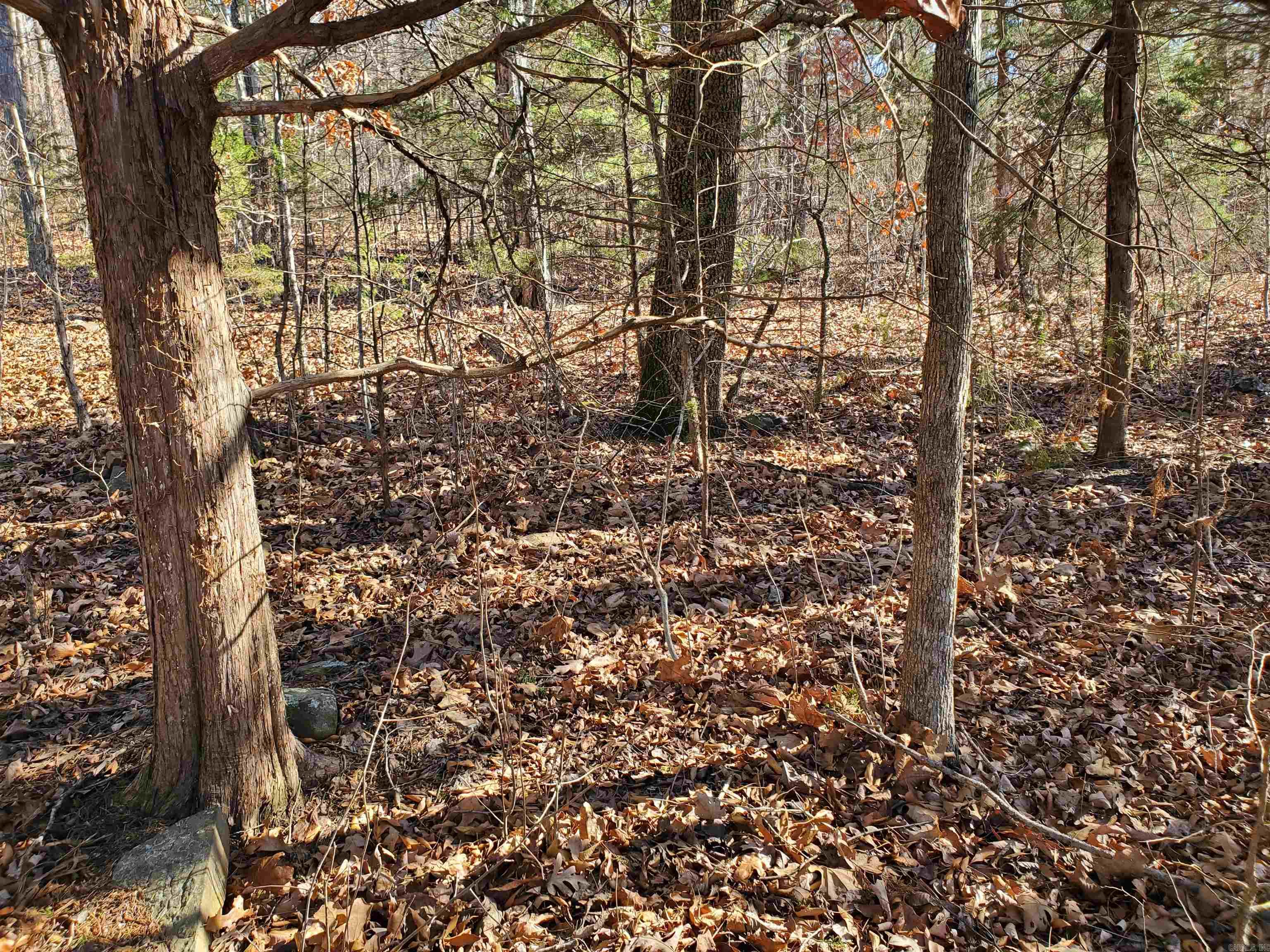 15776 Hwy 74 E Tract #1 Marshall, AR 72650-9999