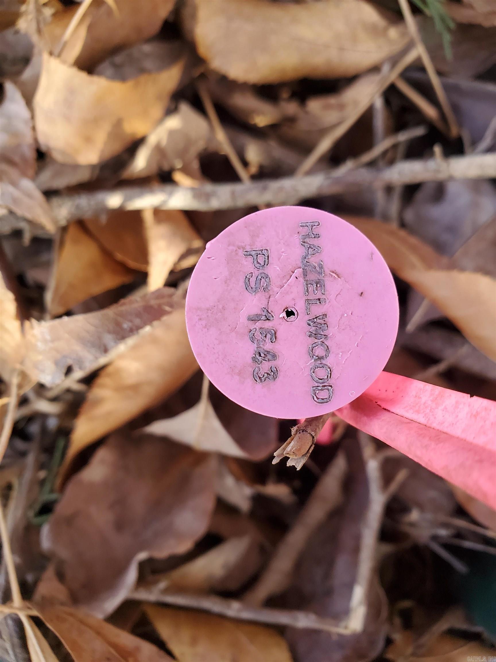 15776 Hwy 74 E Tract #1 Marshall, AR 72650-9999