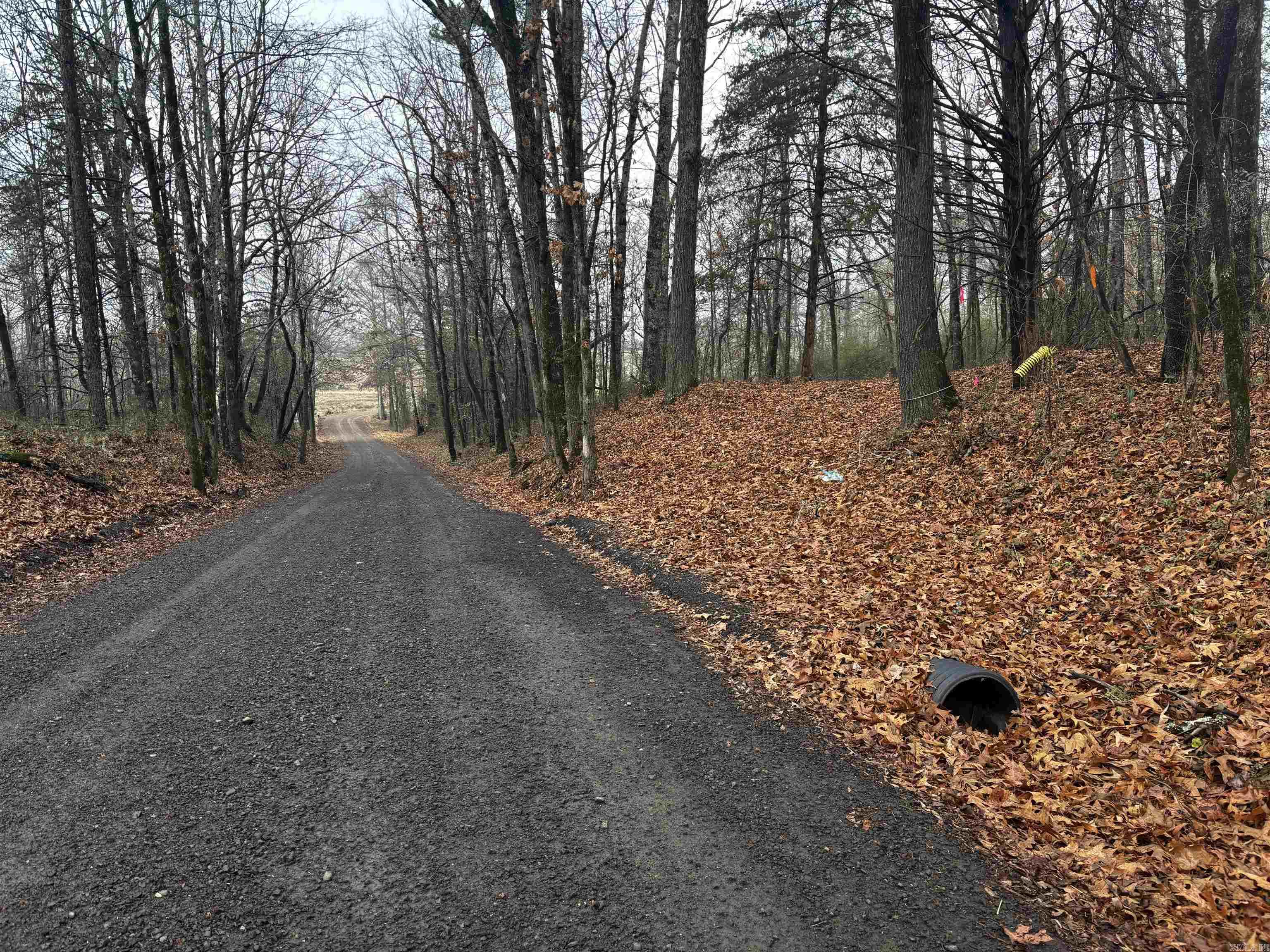 67 Old Wire  Atkins, AR