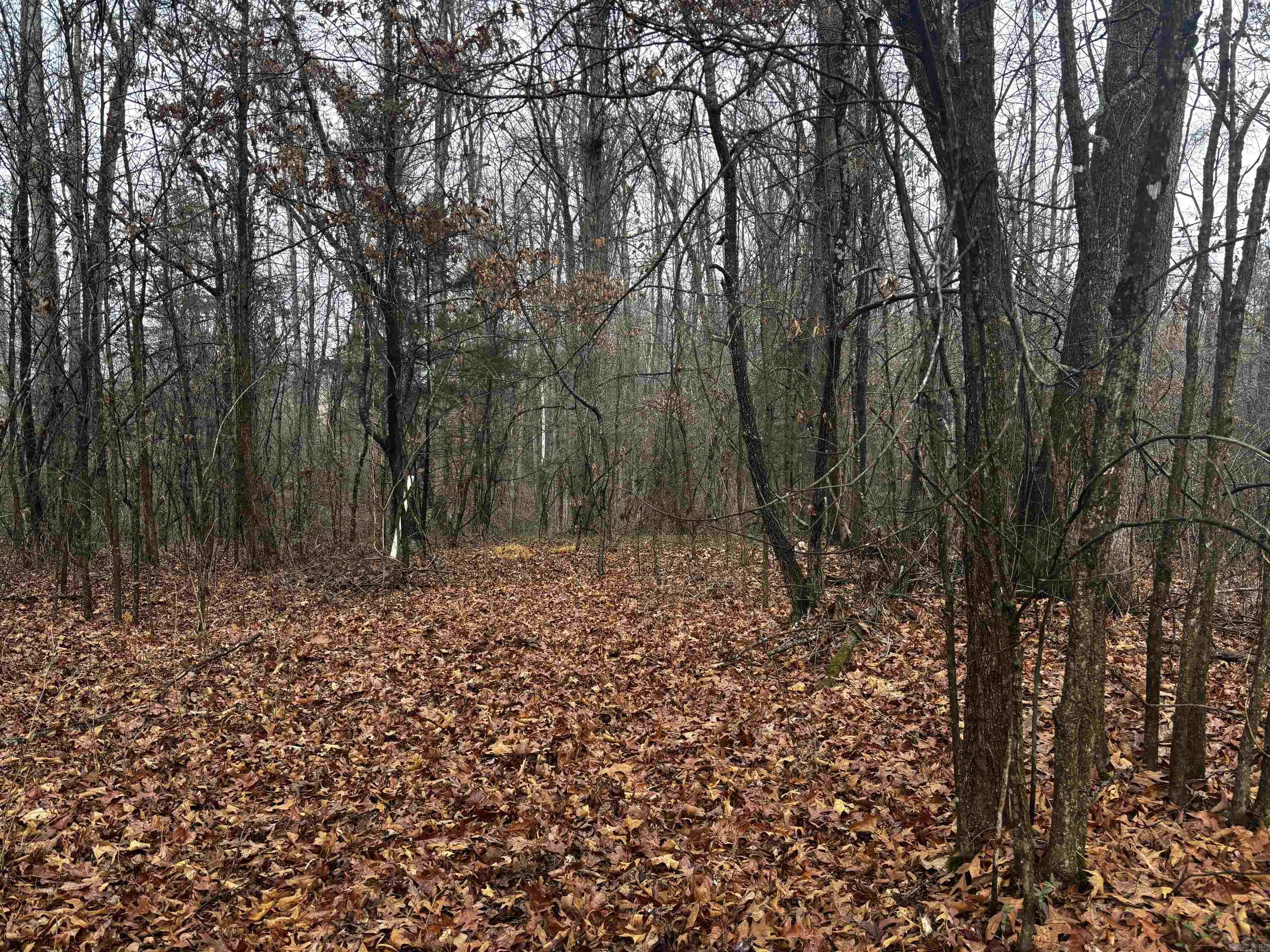 67 Old Wire  Atkins, AR