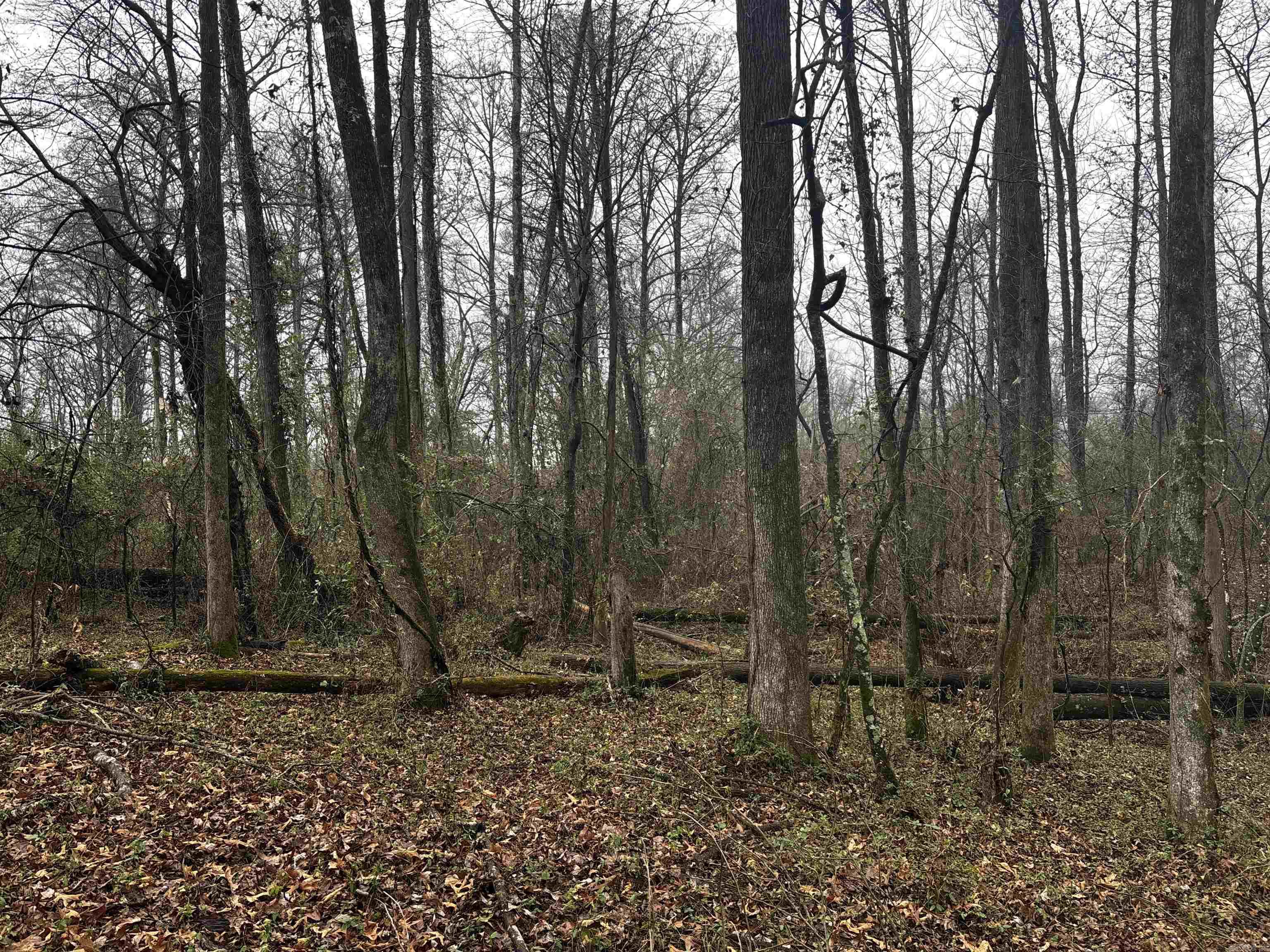 67 Old Wire  Atkins, AR