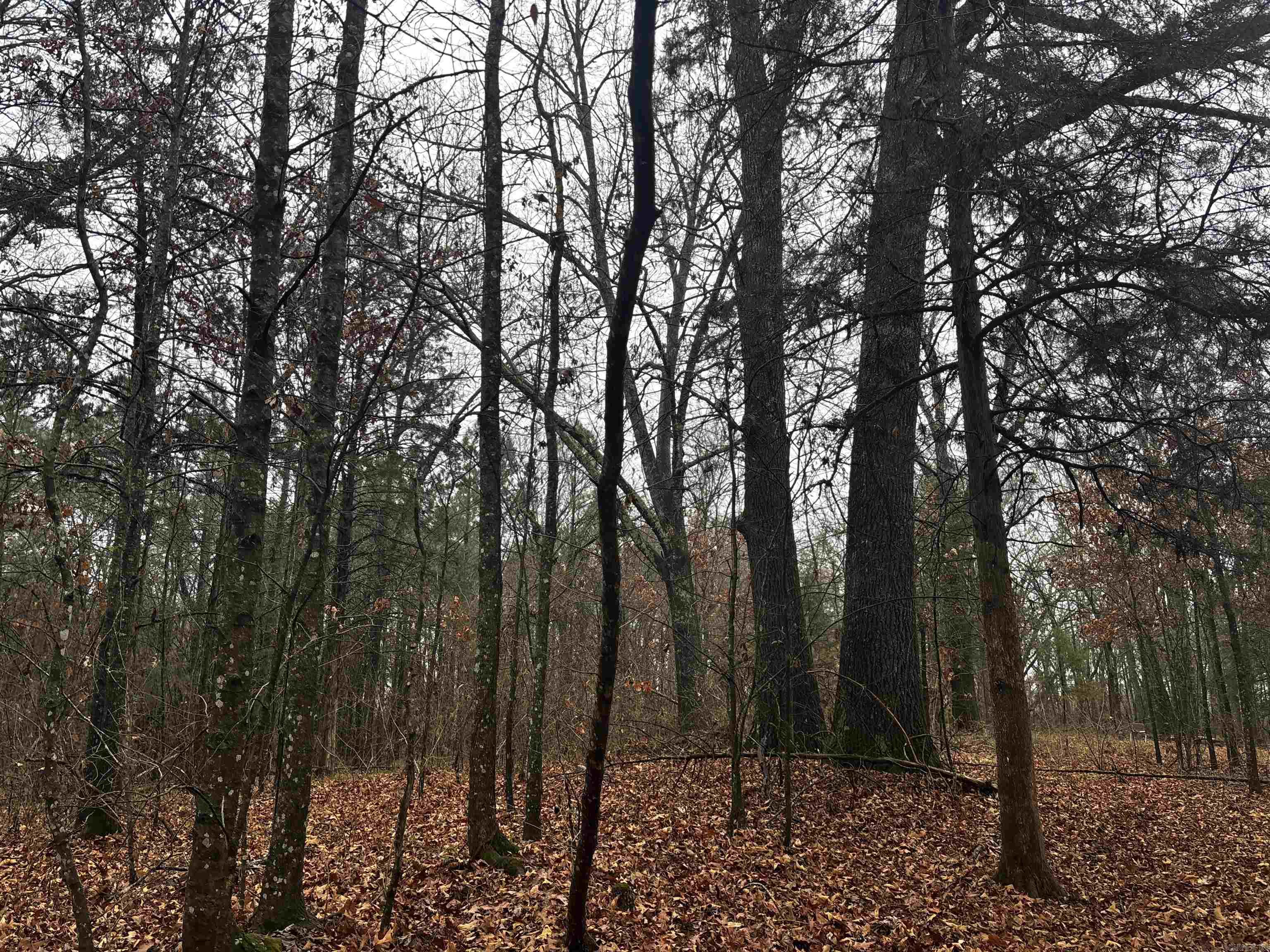 67 Old Wire  Atkins, AR