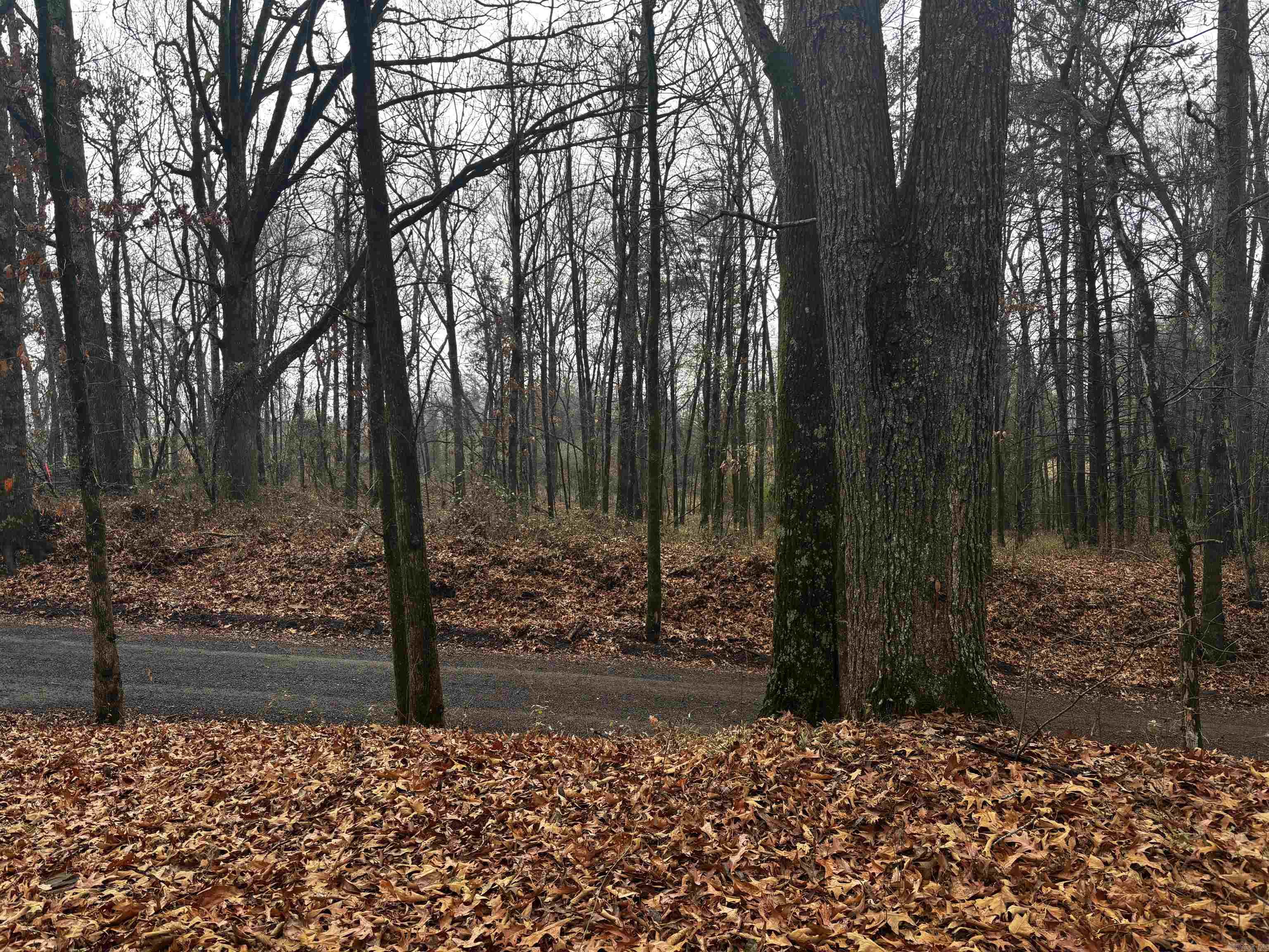 67 Old Wire  Atkins, AR