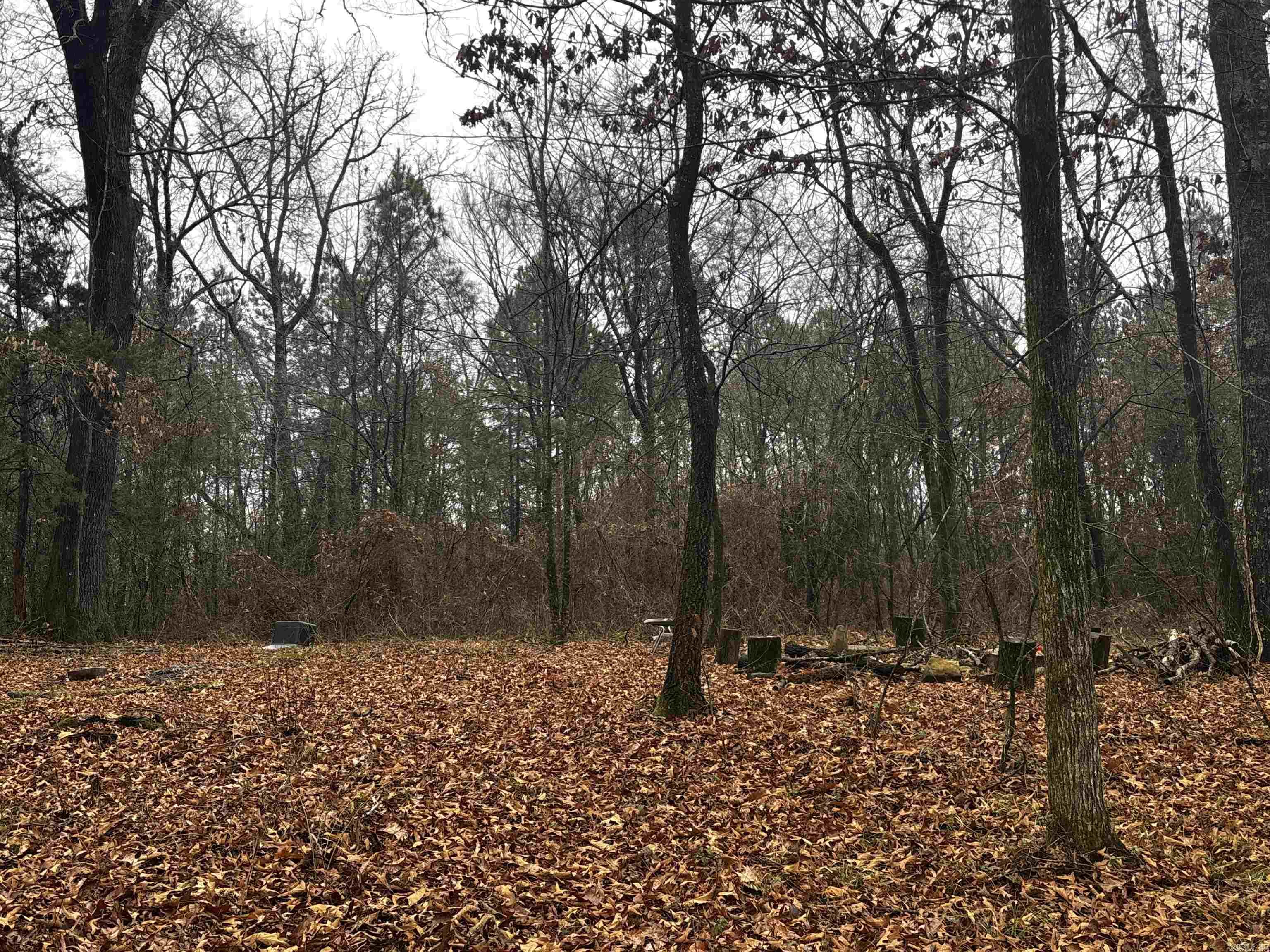 67 Old Wire  Atkins, AR