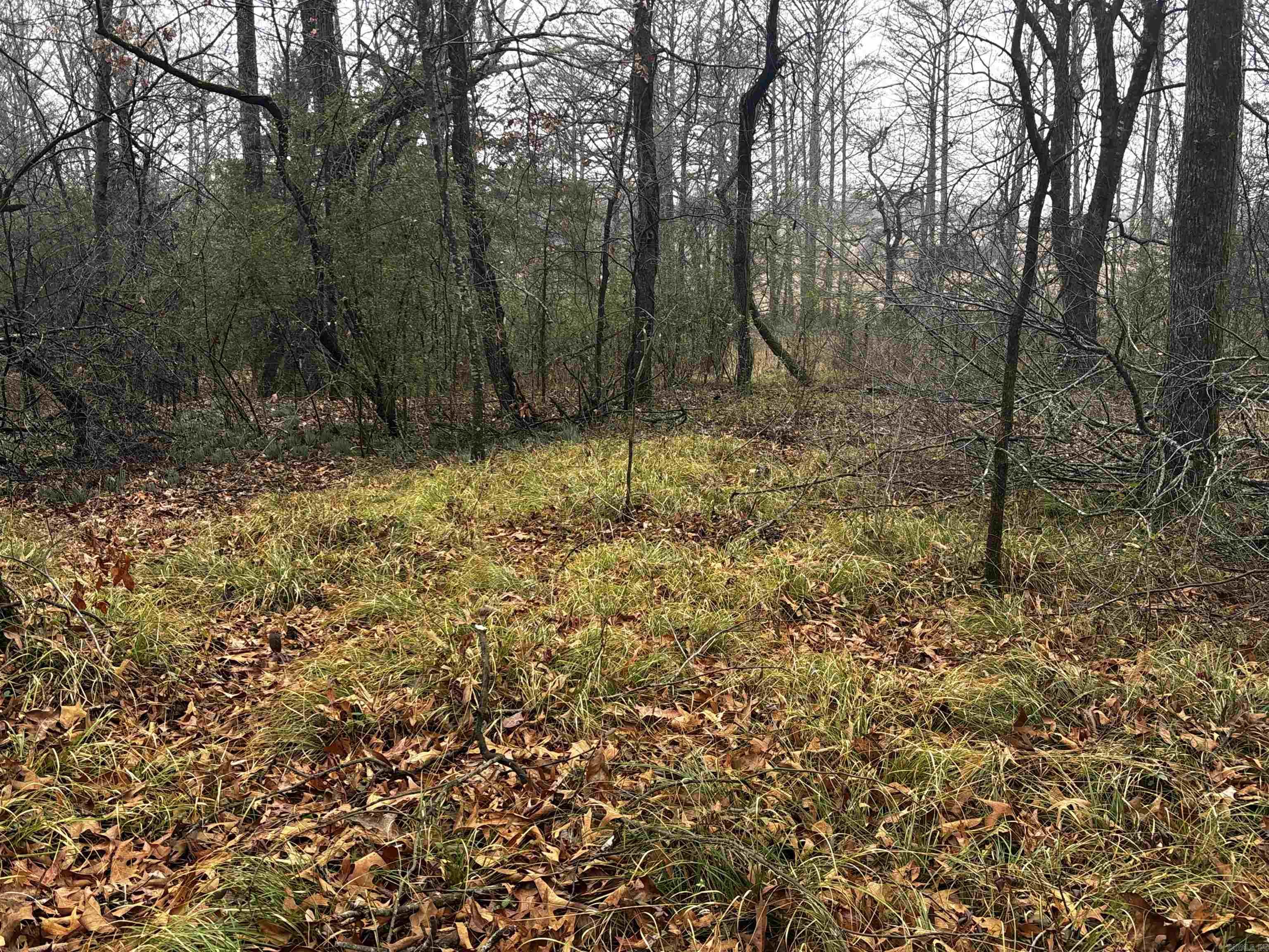 67 Old Wire  Atkins, AR