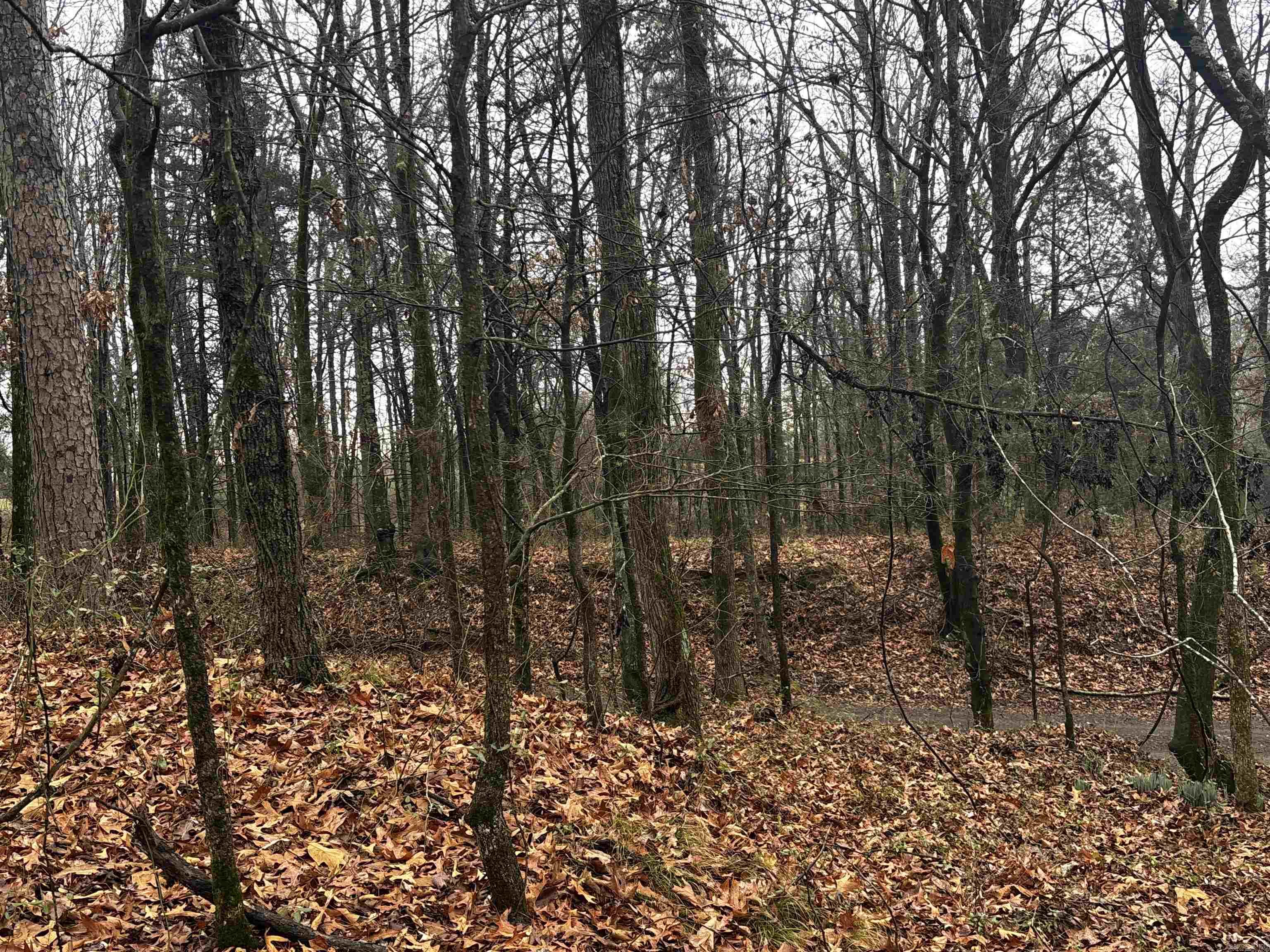 67 Old Wire  Atkins, AR