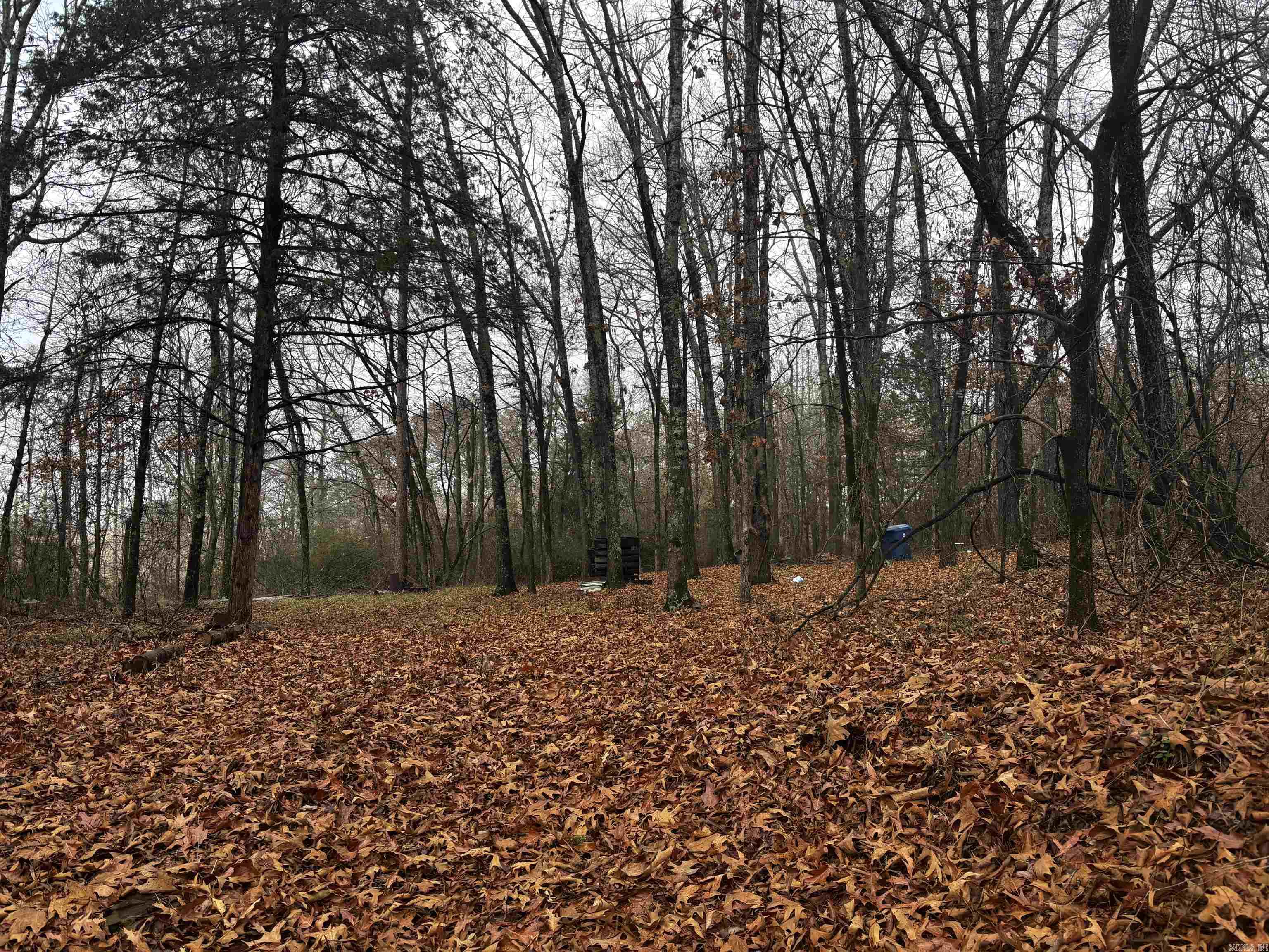 67 Old Wire  Atkins, AR