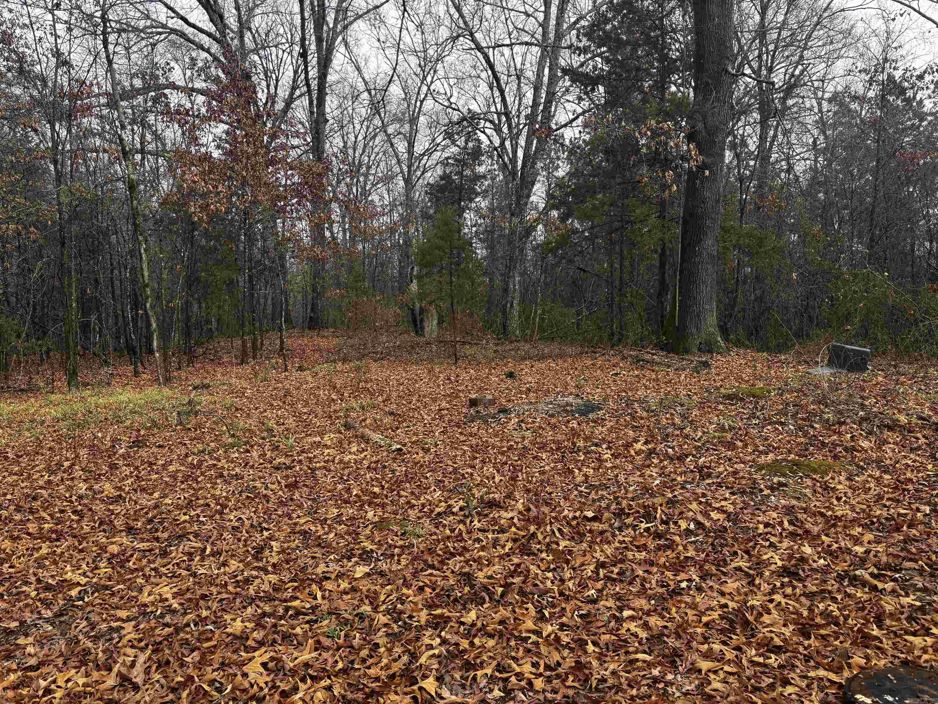 67 Old Wire  Atkins, AR