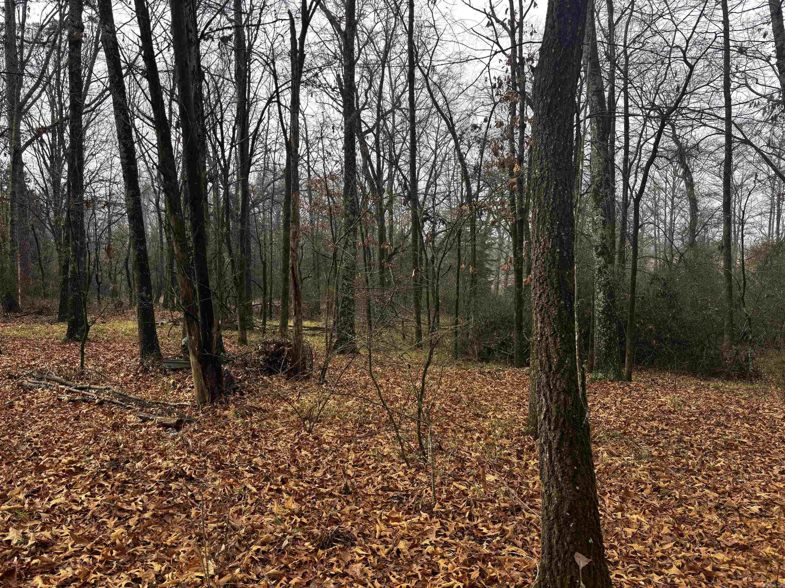 67 Old Wire  Atkins, AR