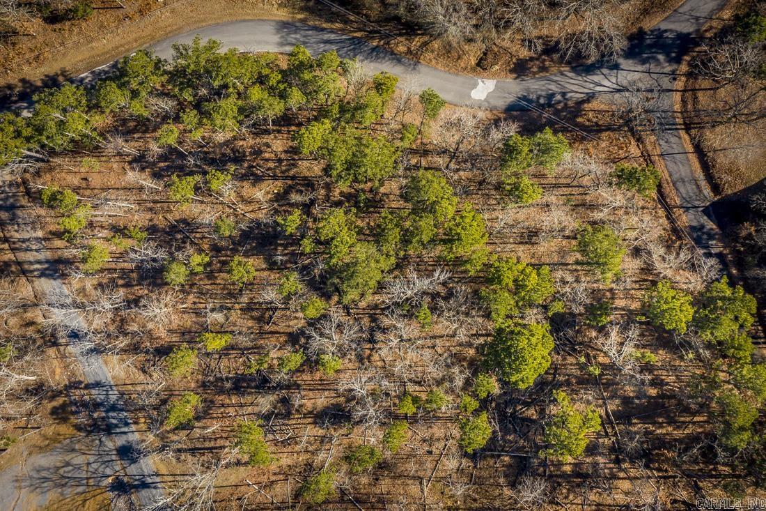 Lot B Traway  Edgemont, AR