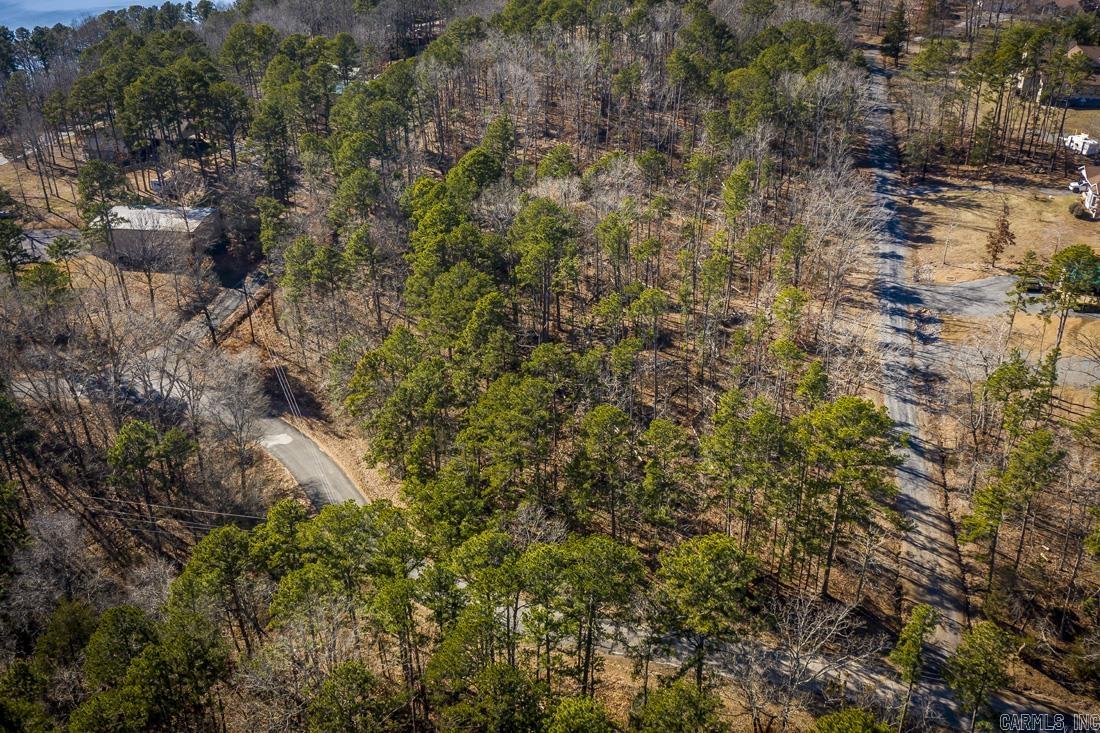 Lot B Traway  Edgemont, AR